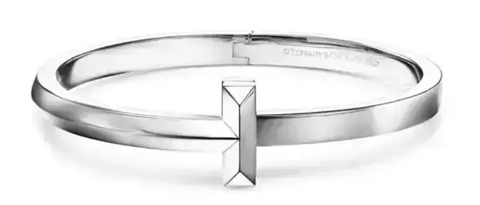 T1 Wide Hinged Bangle