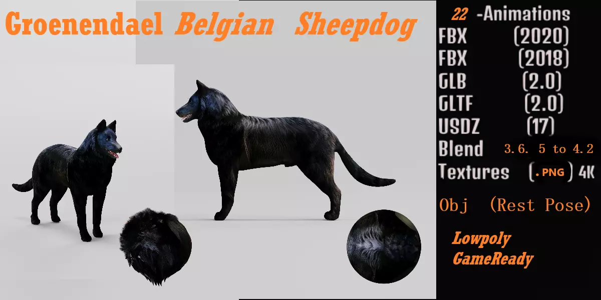Groenendael Belgian Sheepdog Low-poly 3D model_0