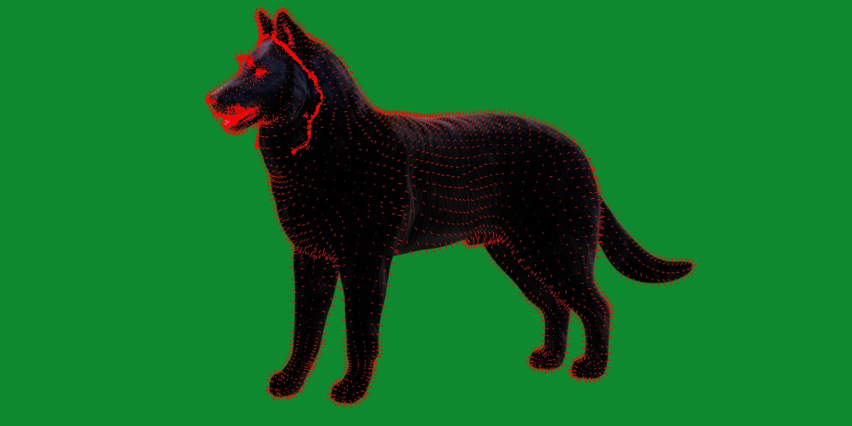 Groenendael Belgian Sheepdog Low-poly 3D model_14