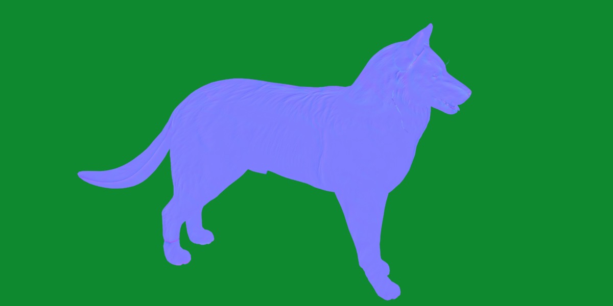 Groenendael Belgian Sheepdog Low-poly 3D model_27