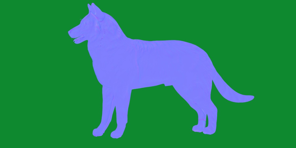 Groenendael Belgian Sheepdog Low-poly 3D model_5