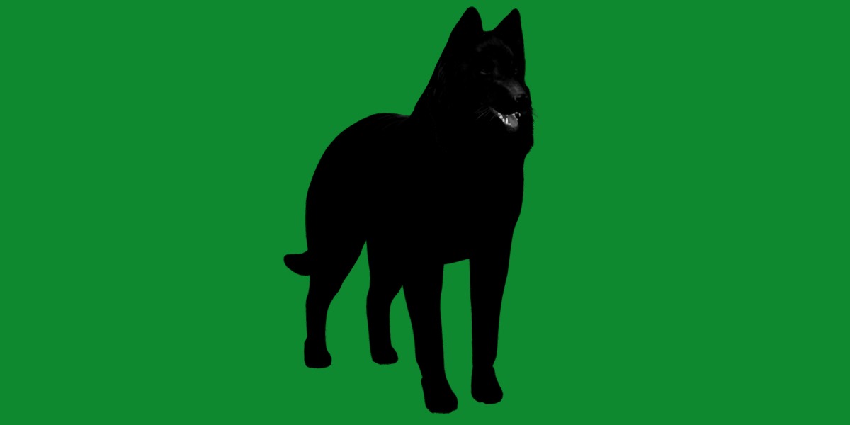 Groenendael Belgian Sheepdog Low-poly 3D model_8