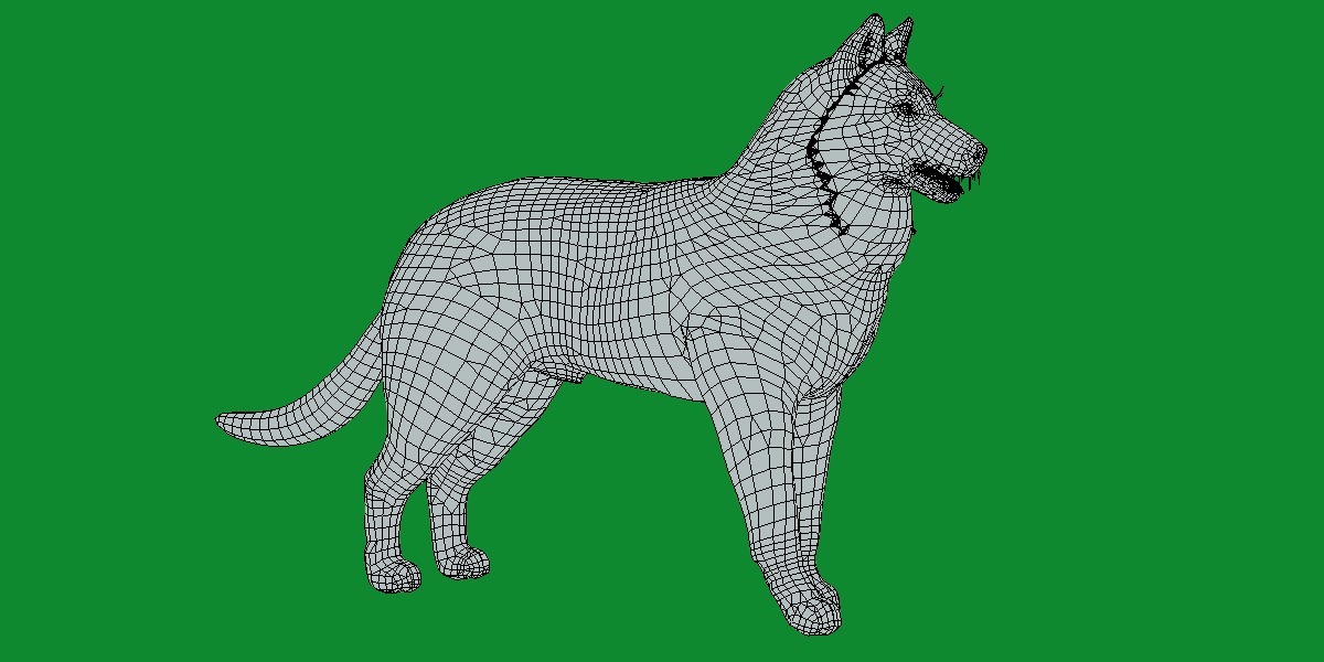 Groenendael Belgian Sheepdog Low-poly 3D model_12