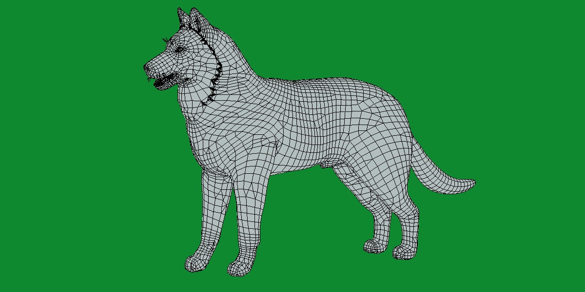 Groenendael Belgian Sheepdog Low-poly 3D model_13