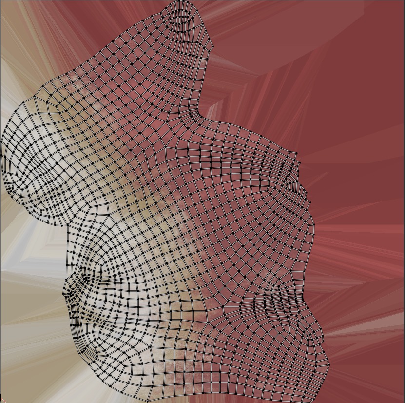 Teeth 3D model Realistic Low-poly 3D model_4