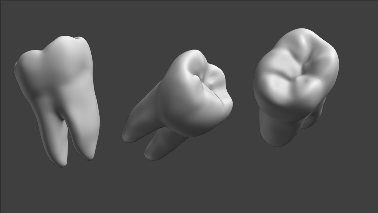 Teeth 3D model Realistic Low-poly 3D model_2