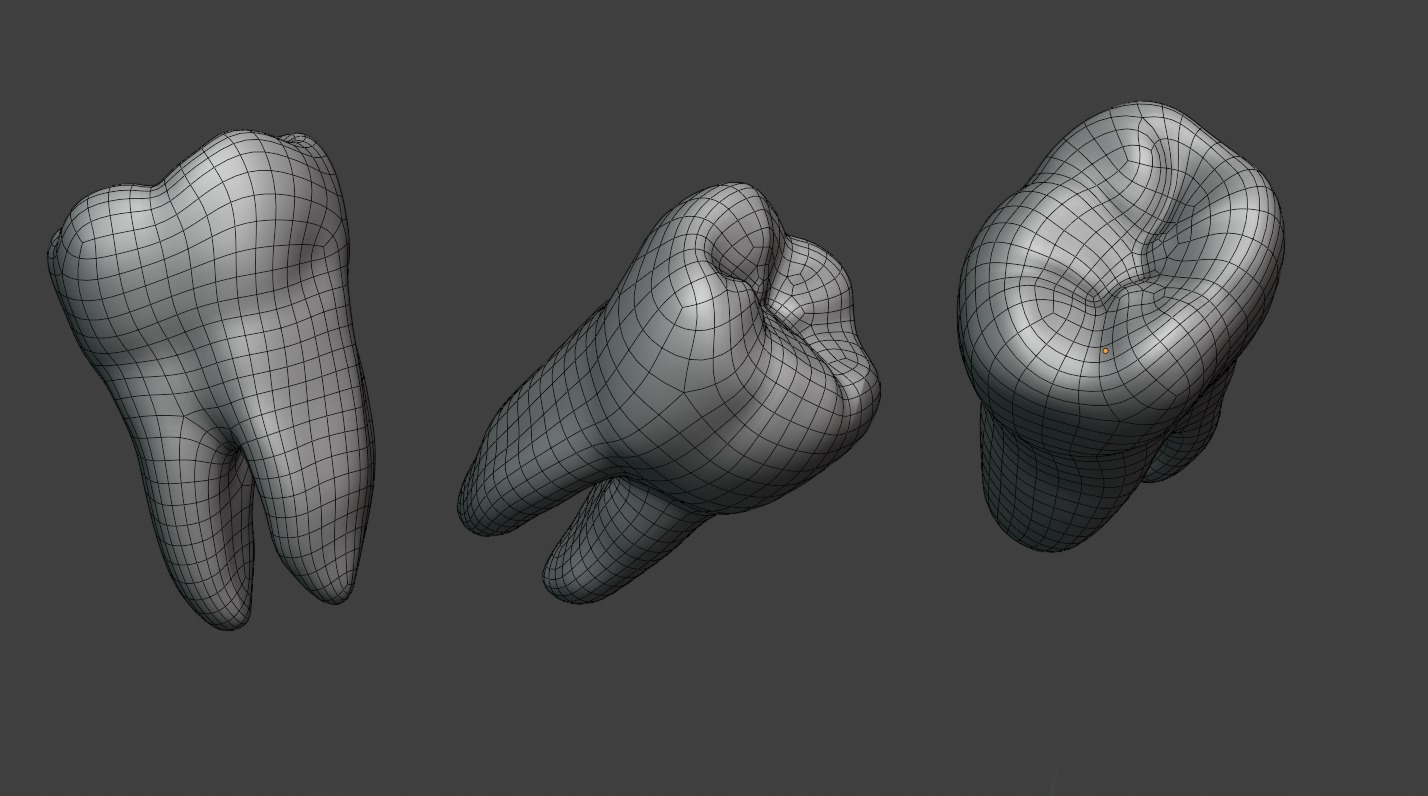 Teeth 3D model Realistic Low-poly 3D model_3