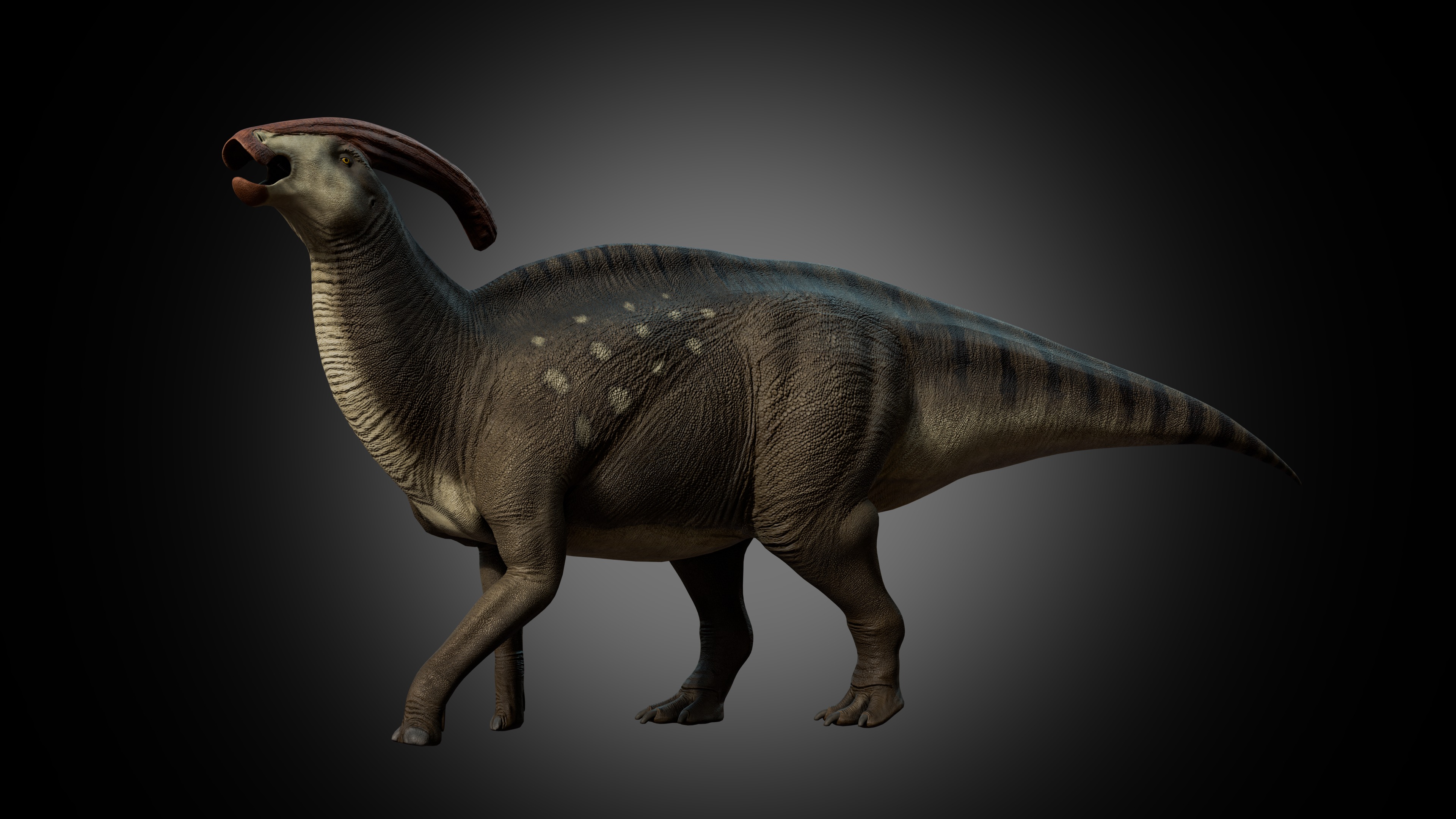 Parasaurolophus walkeri Low-poly 3D model_1