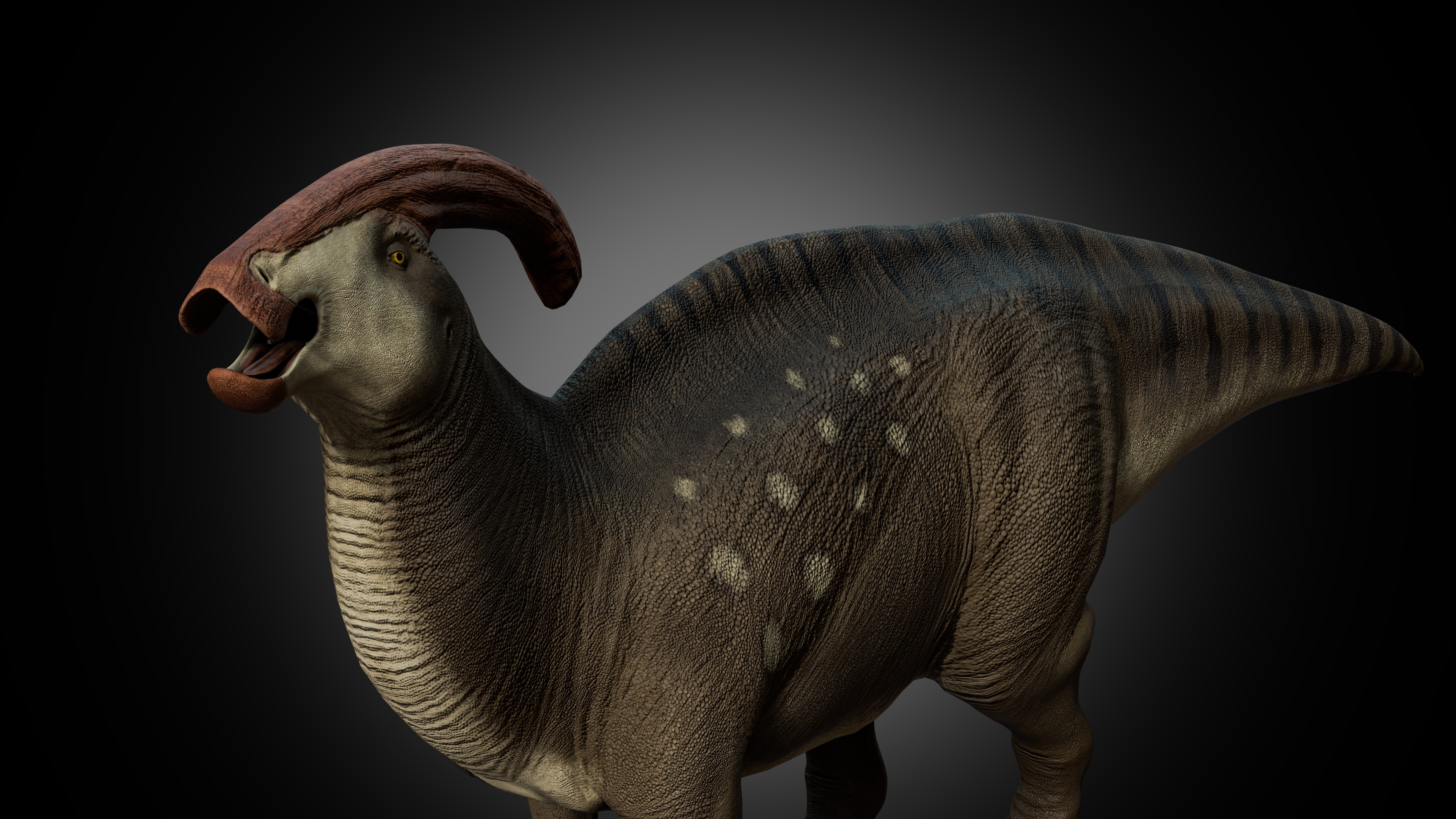 Parasaurolophus walkeri Low-poly 3D model_2