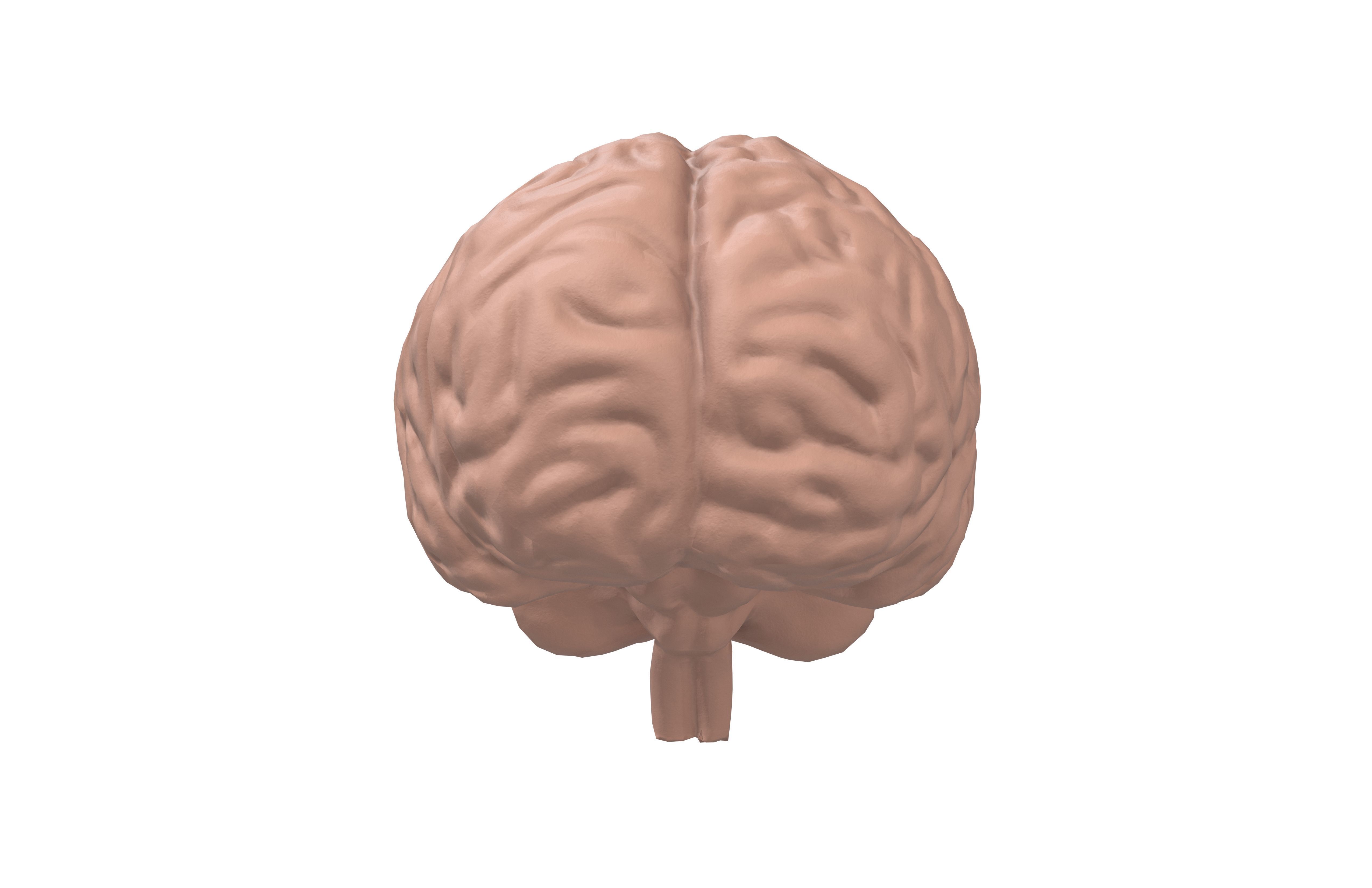 Brain Icon v1 001 Low-poly 3D model_1