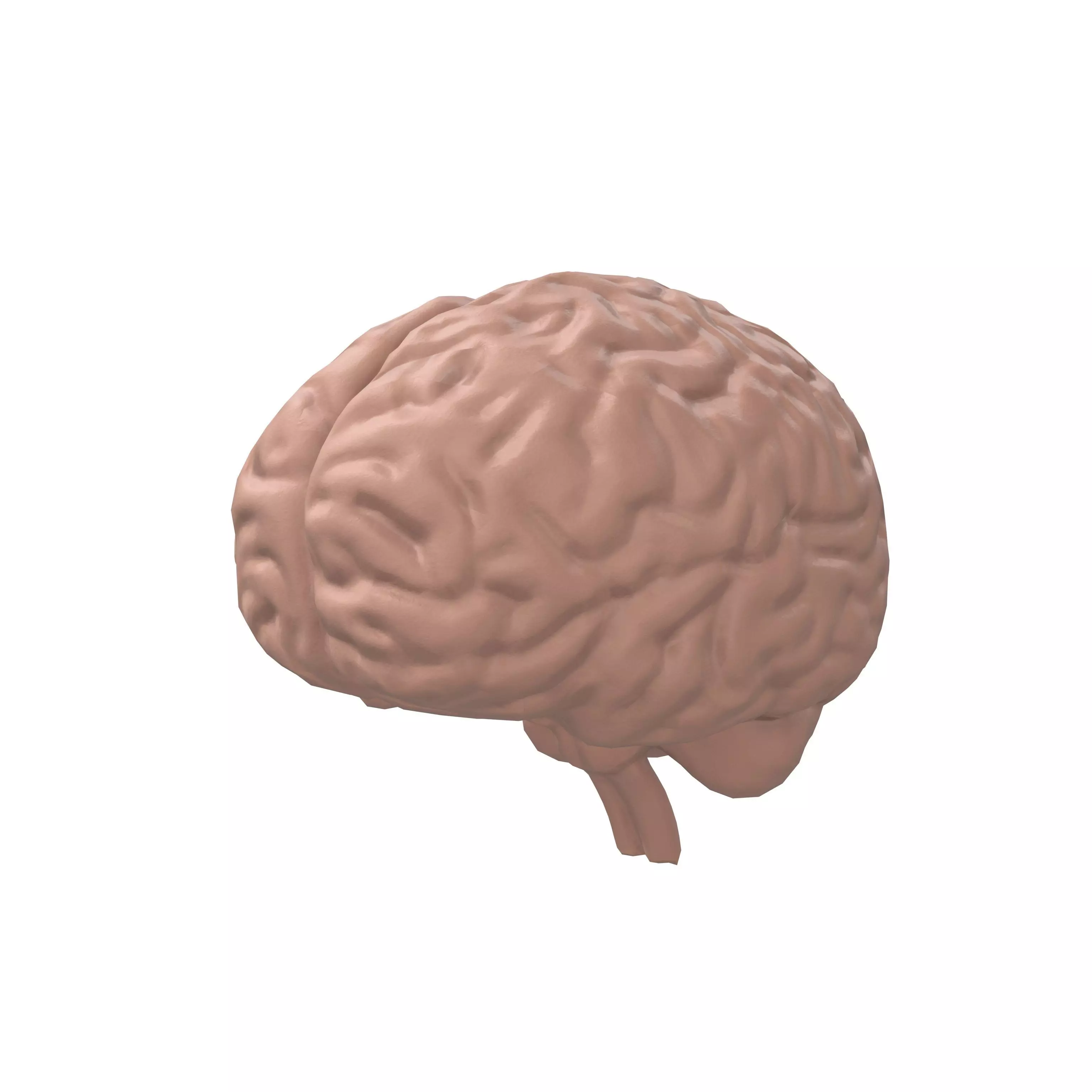 Brain Icon v1 001 Low-poly 3D model_0