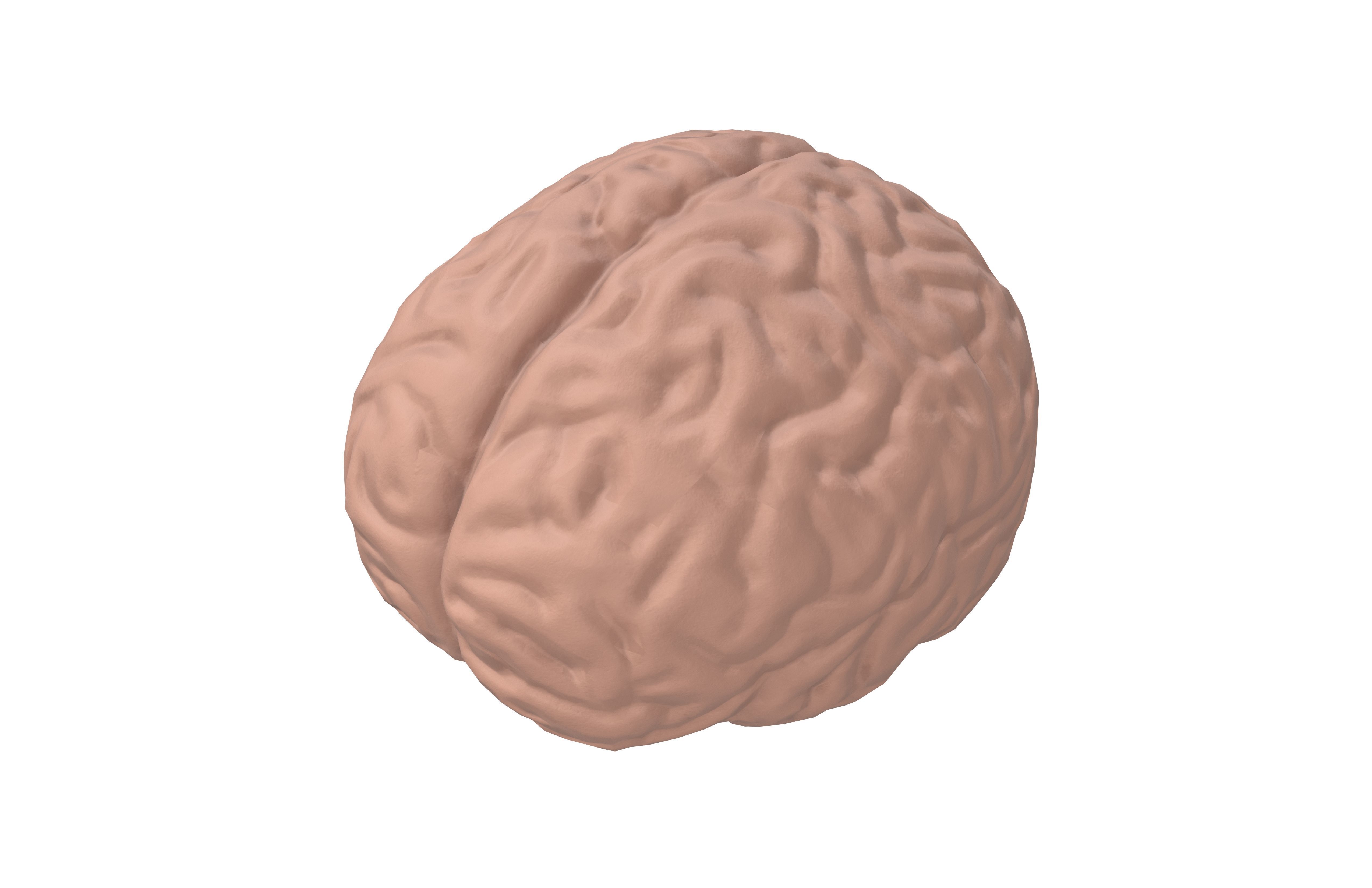 Brain Icon v1 001 Low-poly 3D model_2