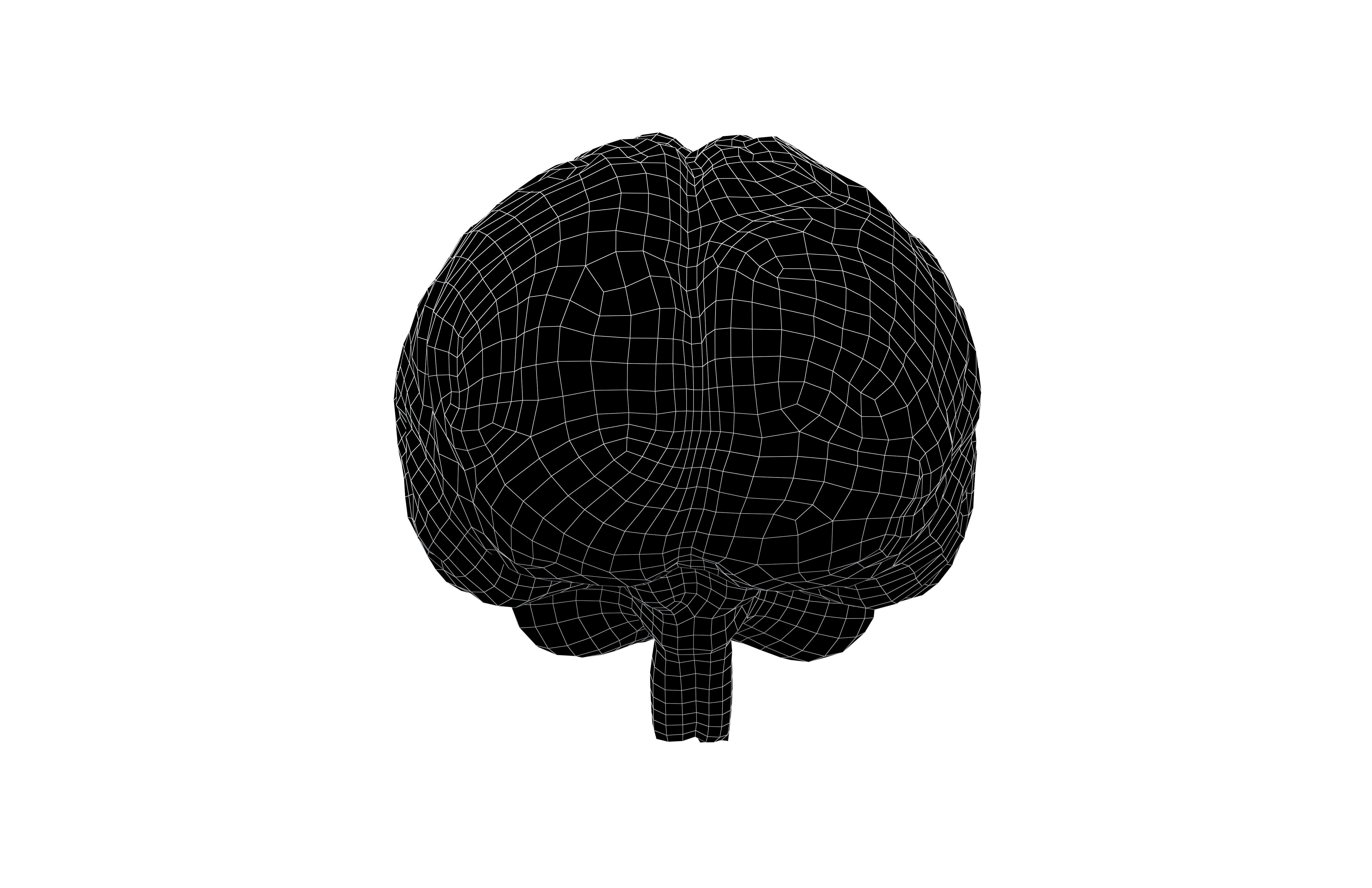Brain Icon v1 001 Low-poly 3D model_5