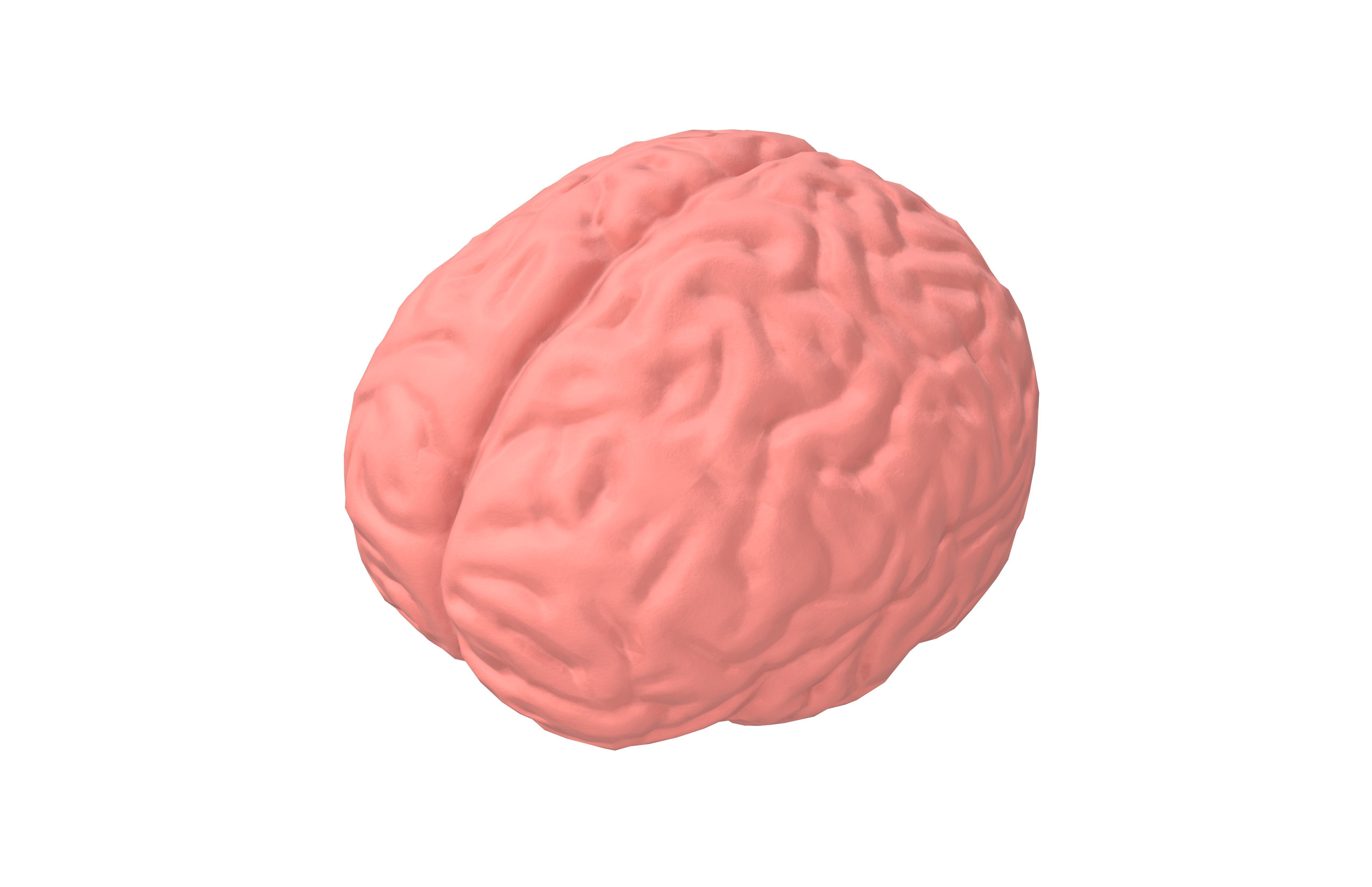 Brain Icon v1 002 Low-poly 3D model_2