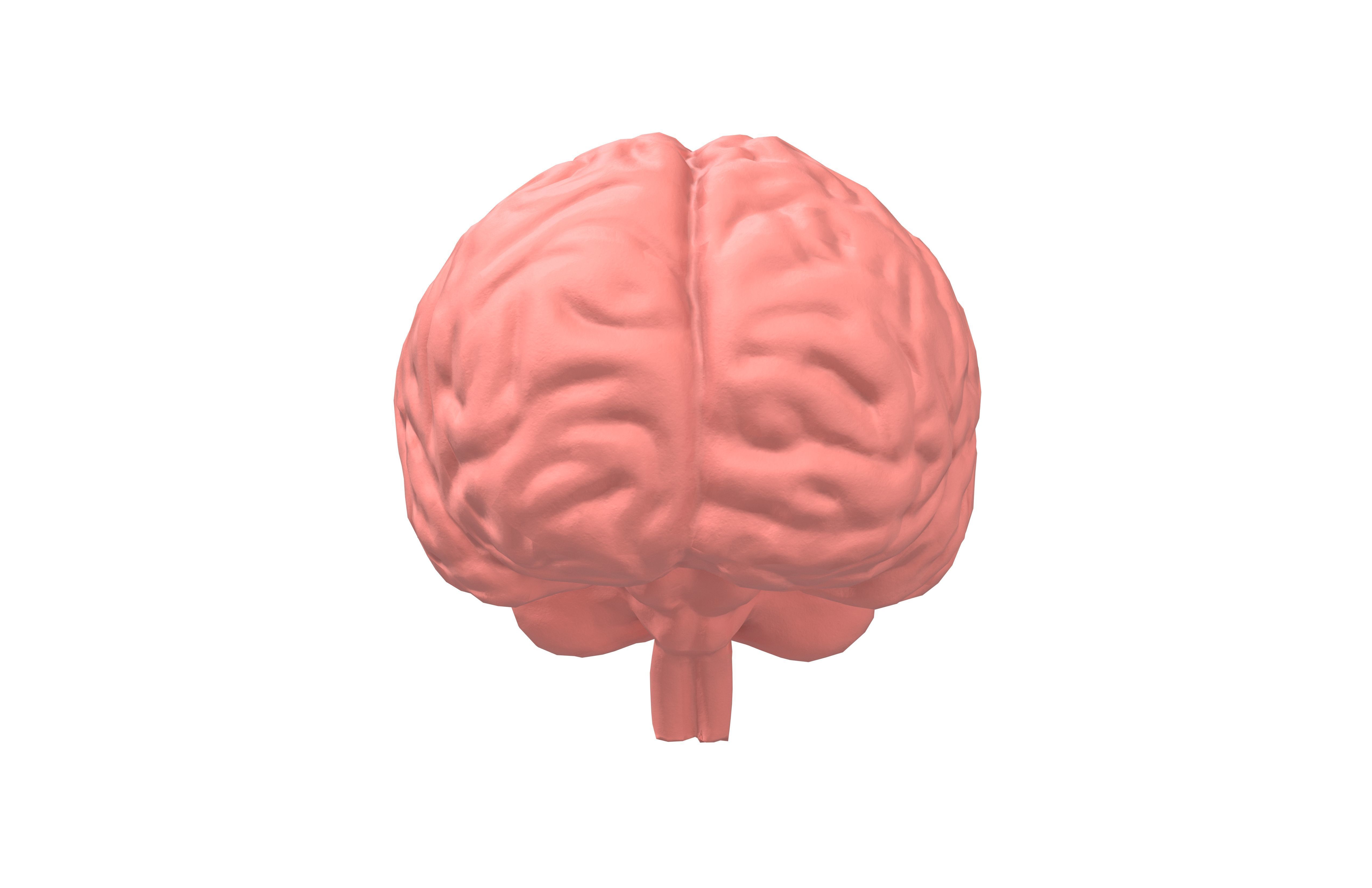 Brain Icon v1 002 Low-poly 3D model_1