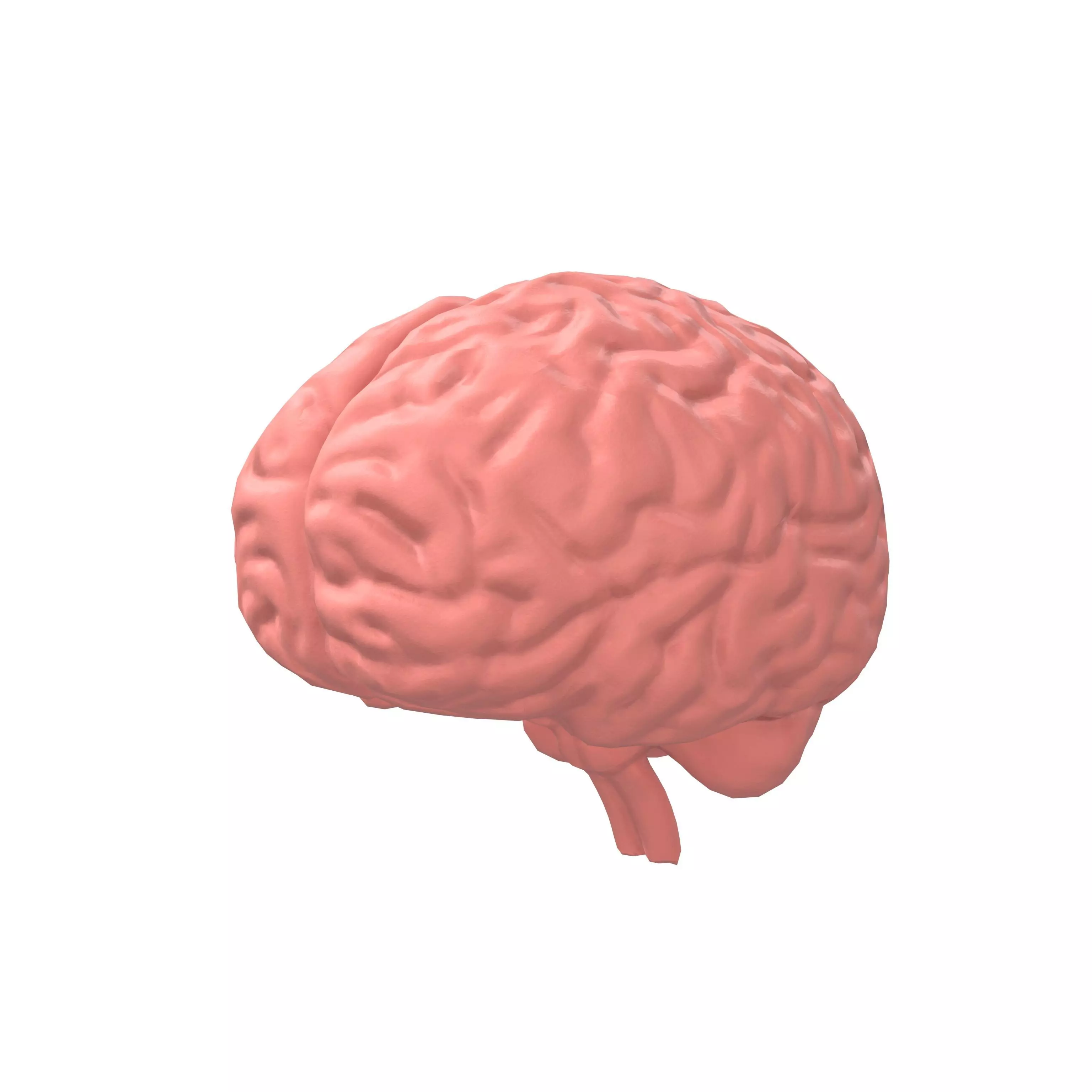 Brain Icon v1 002 Low-poly 3D model_0