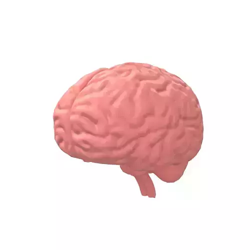 Brain Icon v1 002