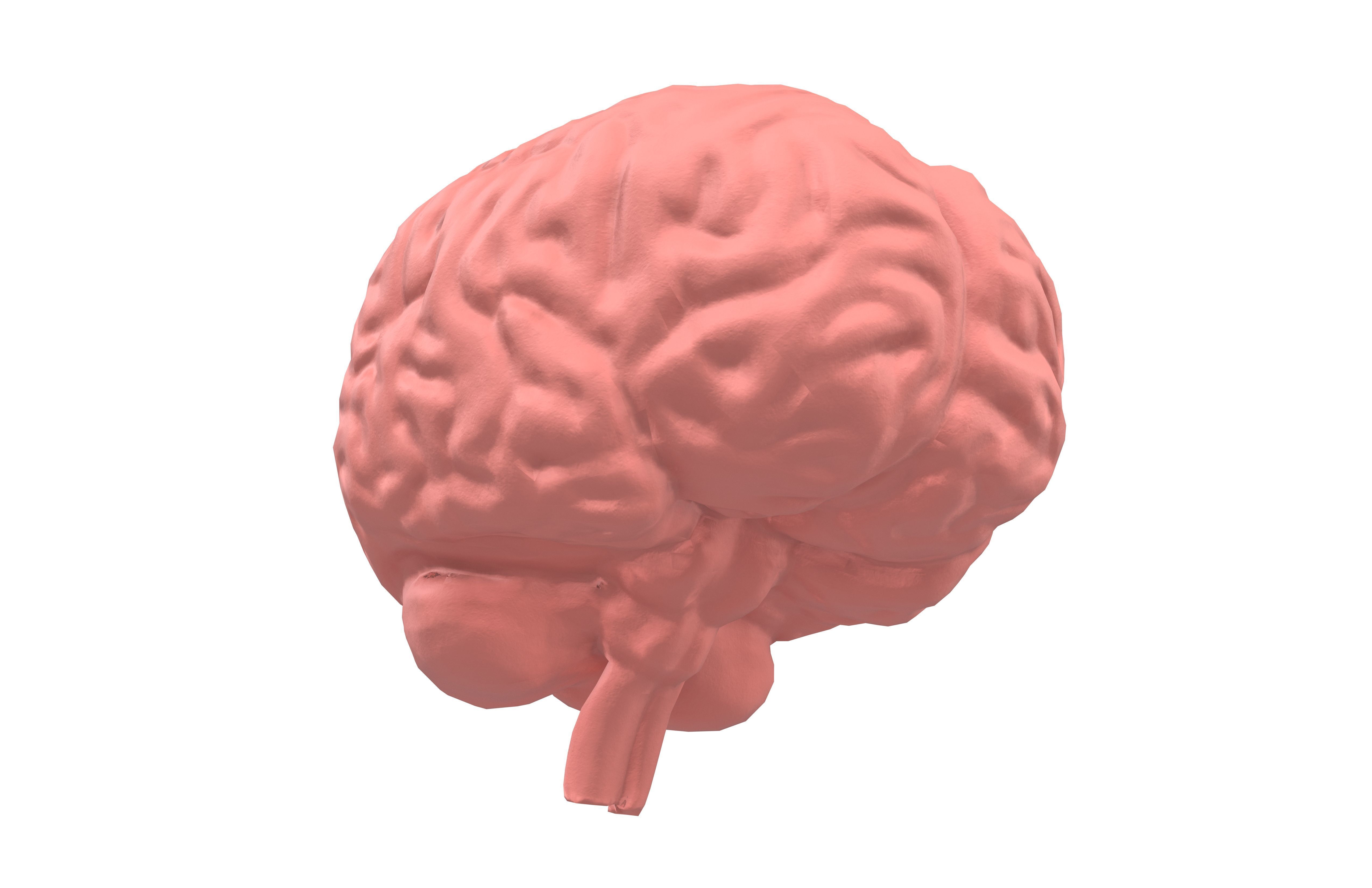Brain Icon v1 002 Low-poly 3D model_3