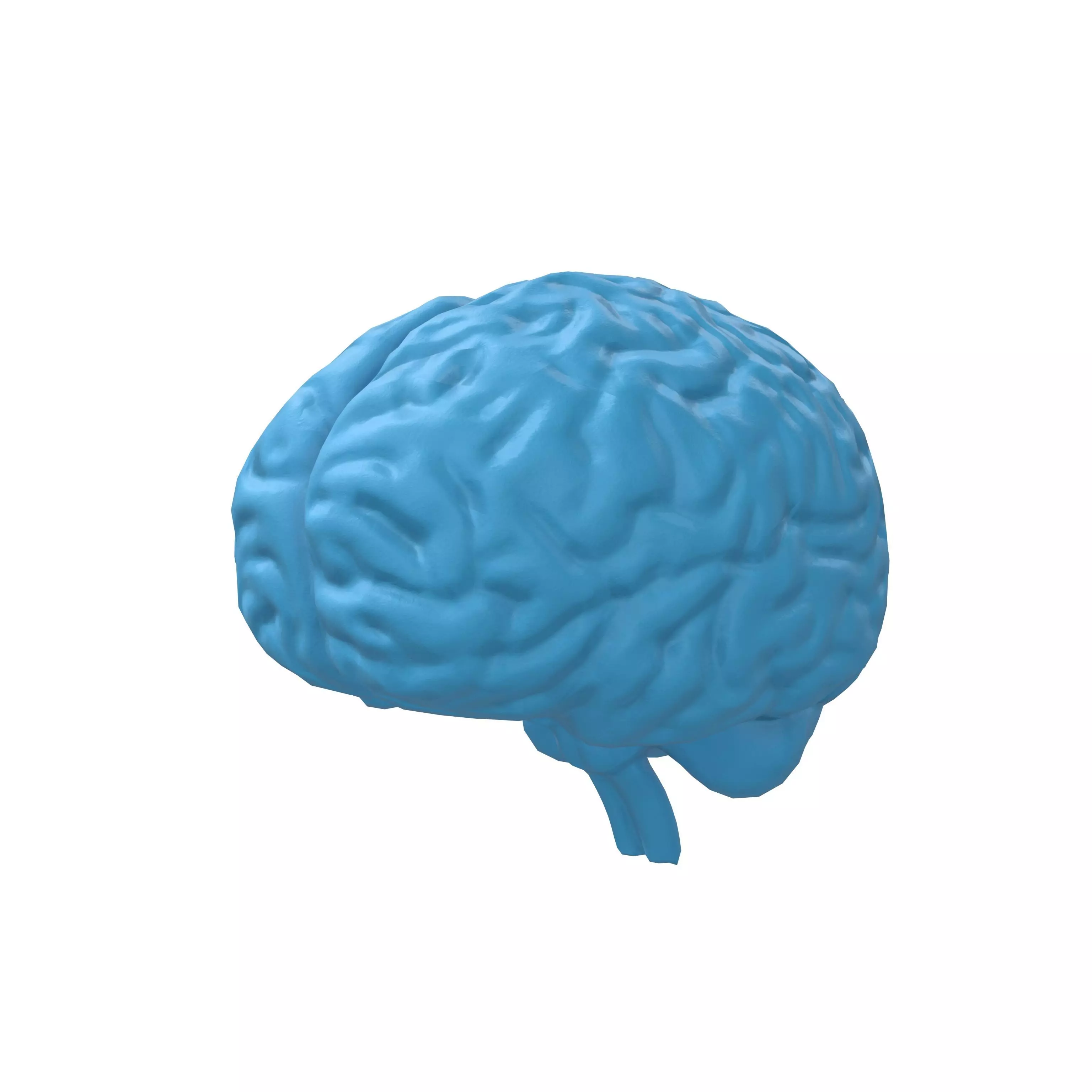 Brain Icon v1 003 Low-poly 3D model_0
