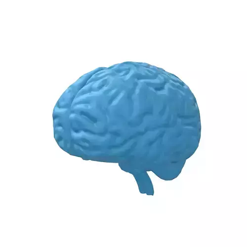 Brain Icon v1 003