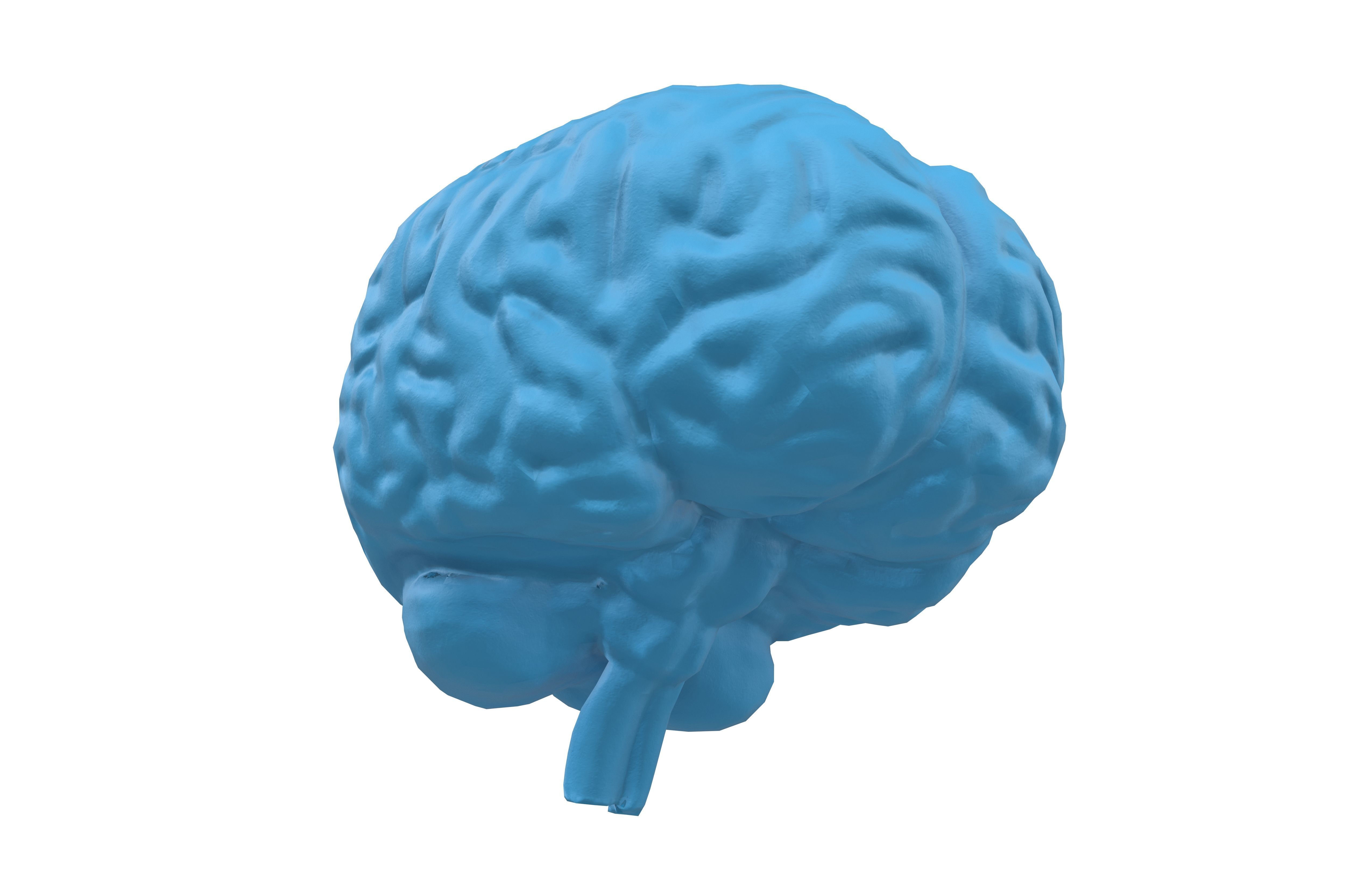 Brain Icon v1 003 Low-poly 3D model_3