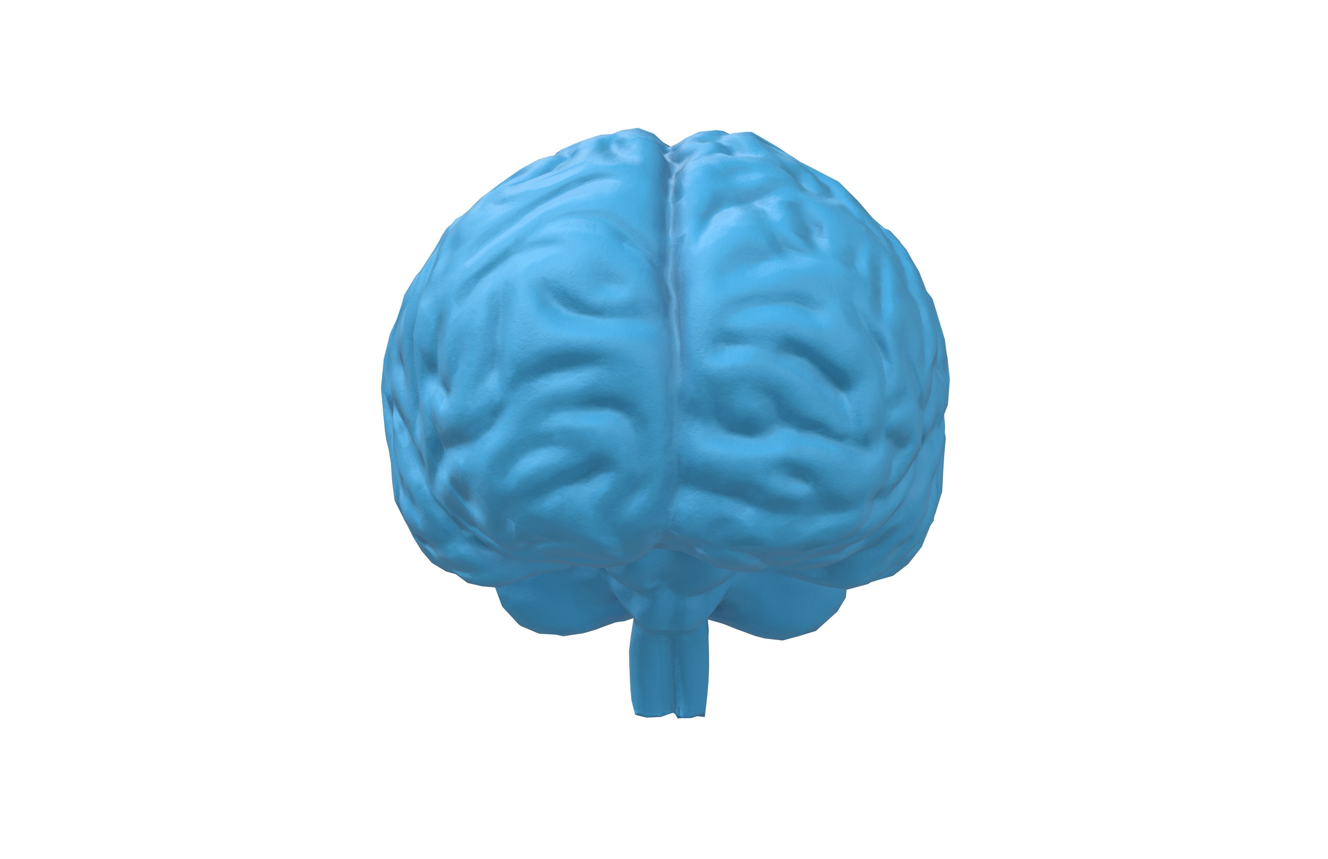 Brain Icon v1 003 Low-poly 3D model_1