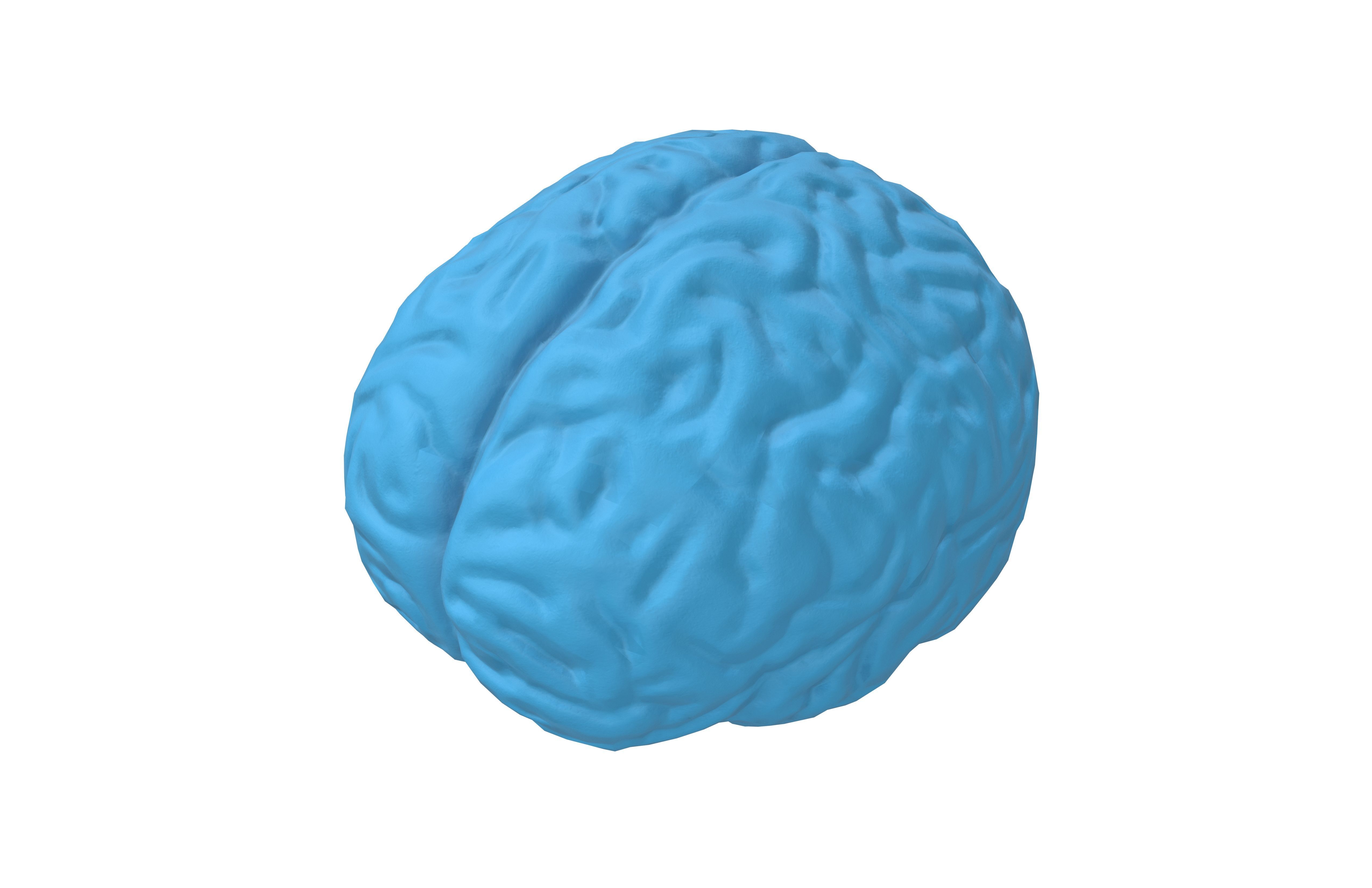 Brain Icon v1 003 Low-poly 3D model_2