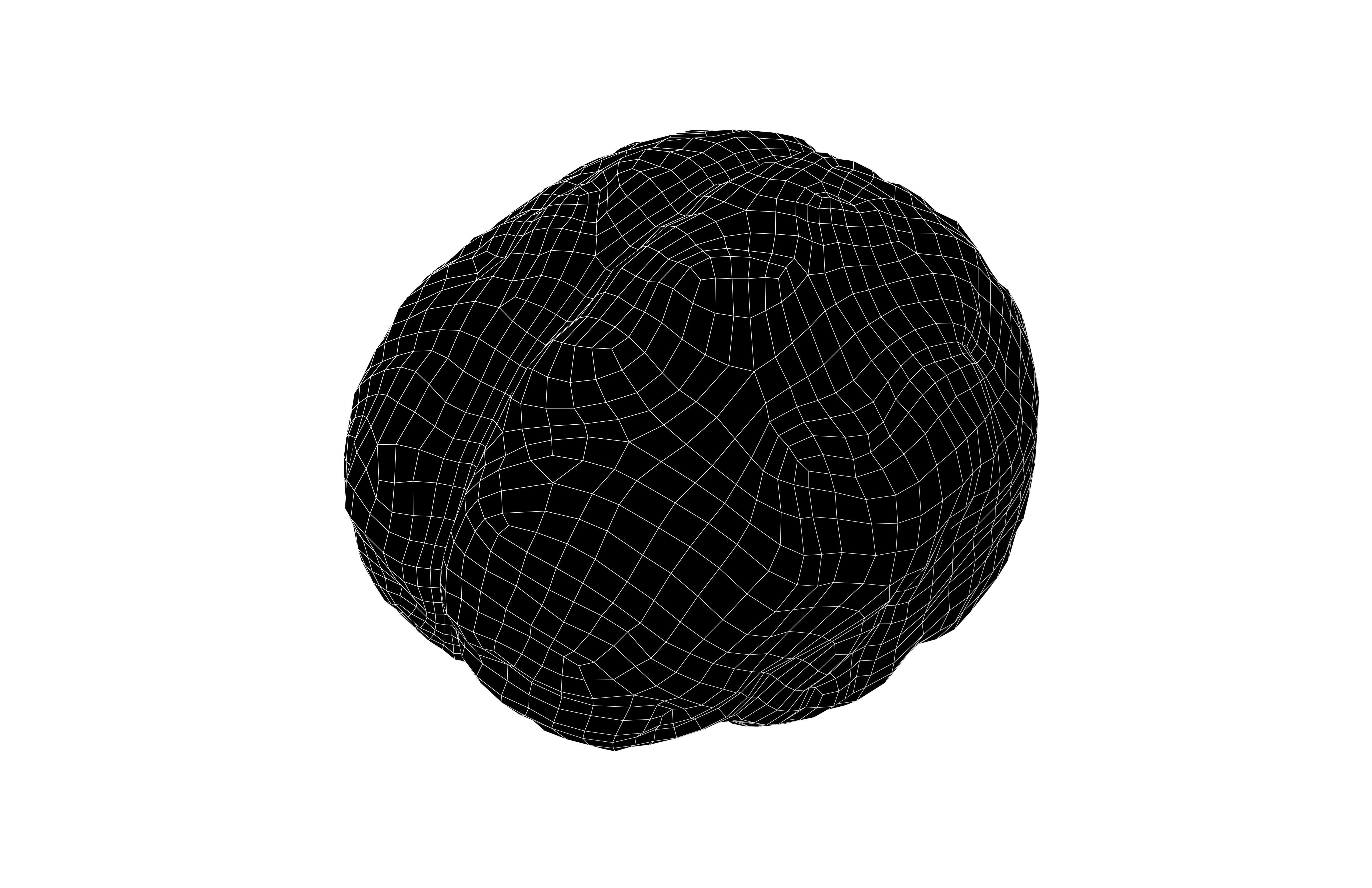 Brain Icon v1 004 Low-poly 3D model_6