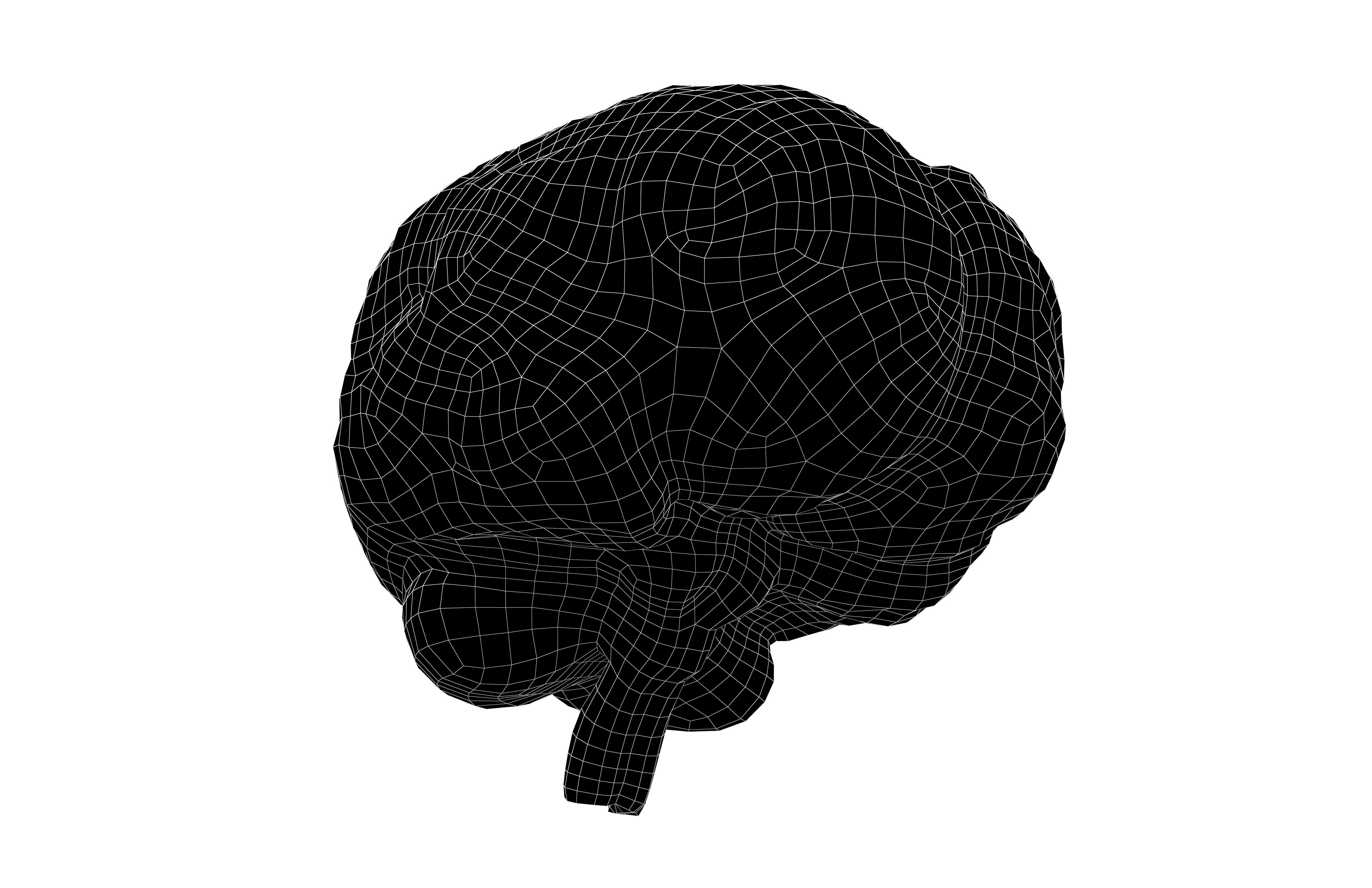 Brain Icon v1 004 Low-poly 3D model_7