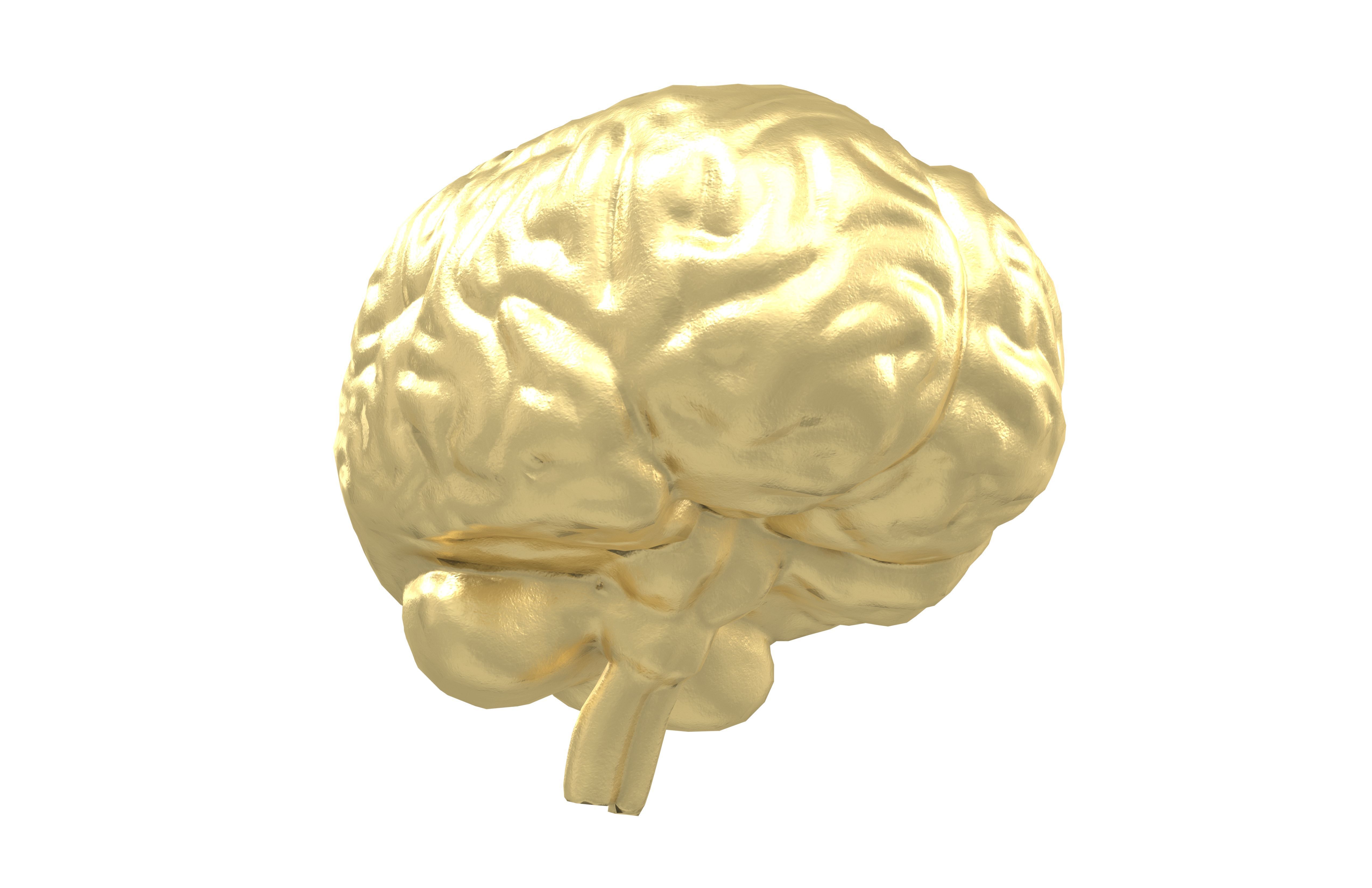 Brain Icon v1 004 Low-poly 3D model_3
