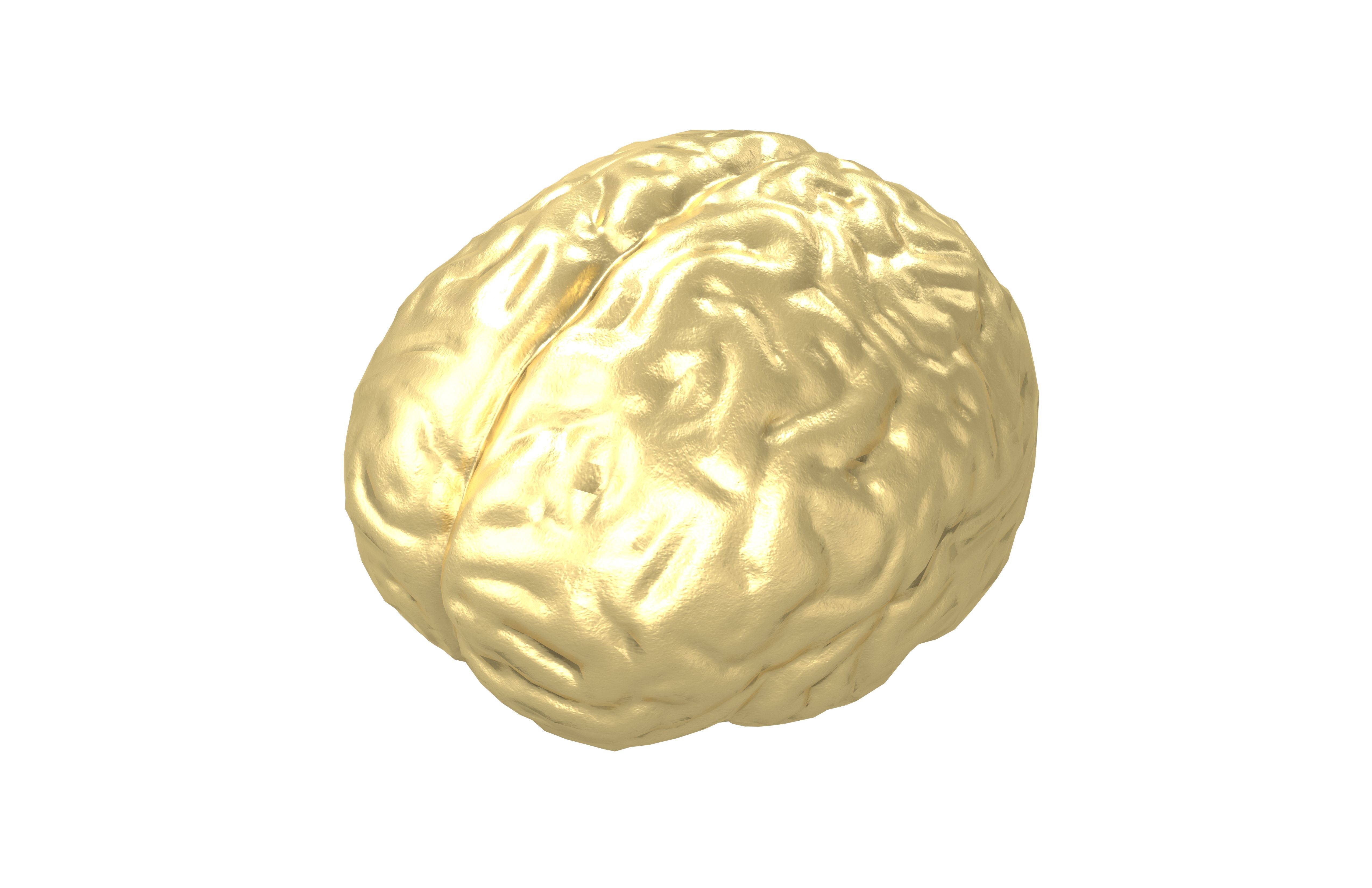 Brain Icon v1 004 Low-poly 3D model_2