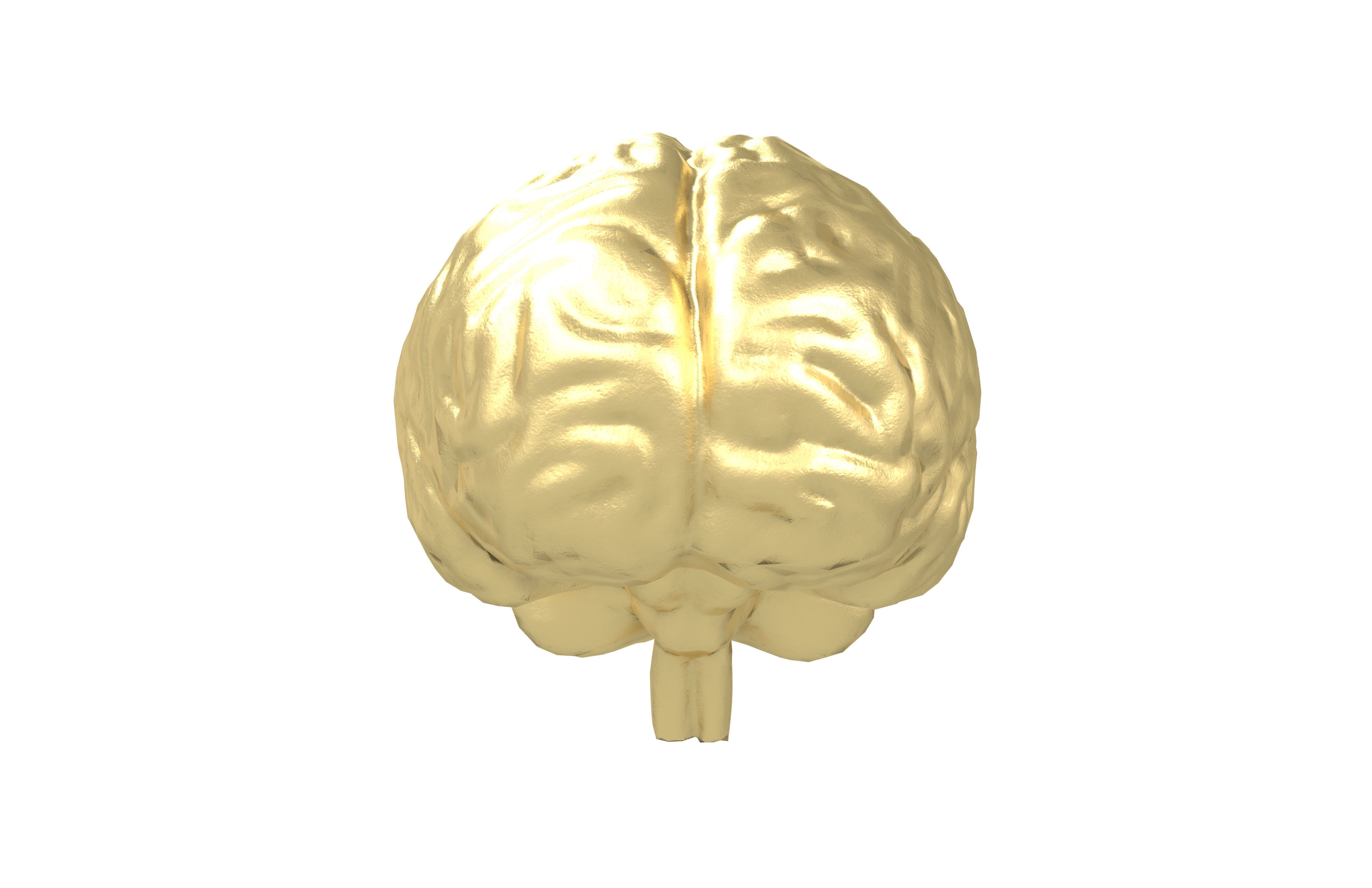 Brain Icon v1 004 Low-poly 3D model_1