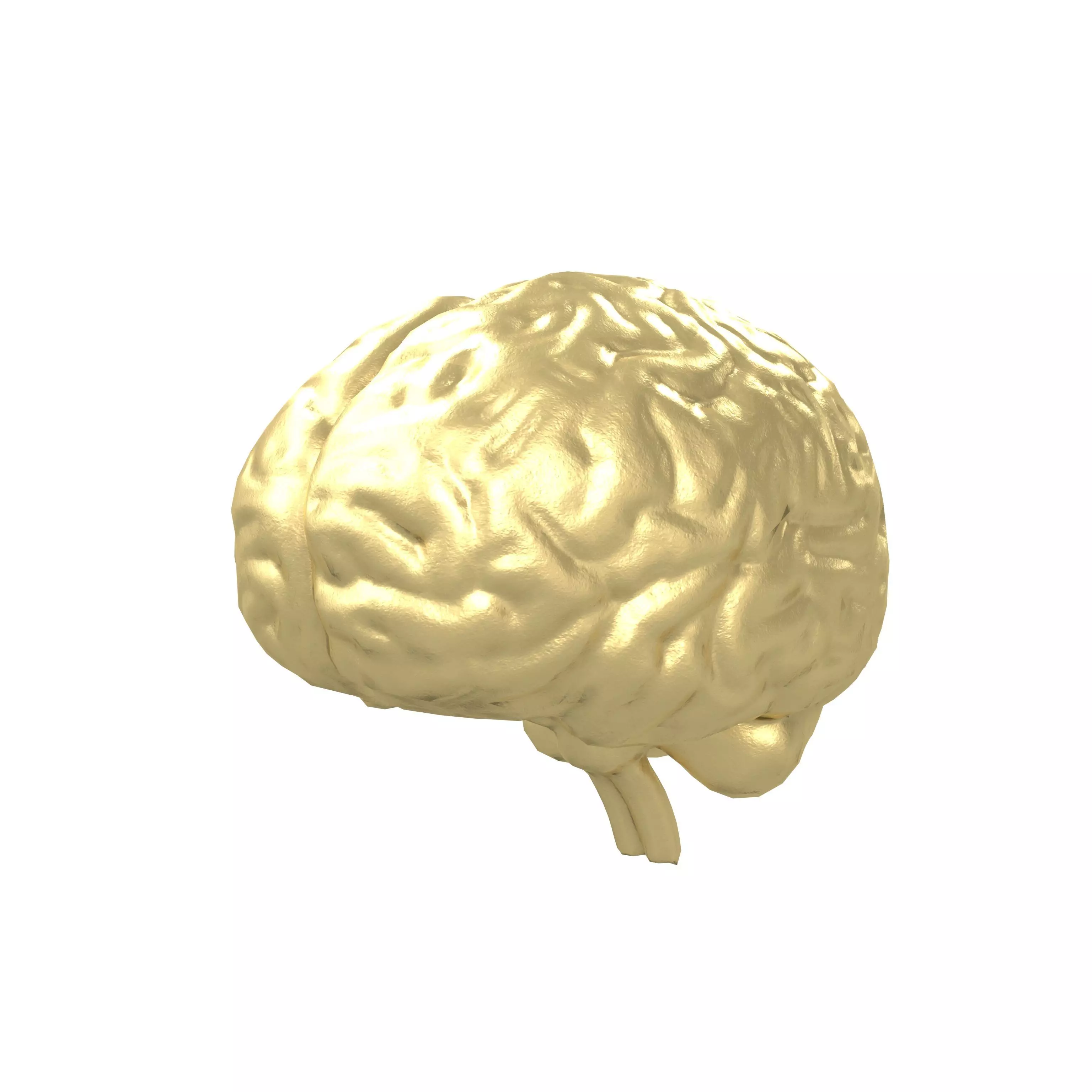 Brain Icon v1 004 Low-poly 3D model_0