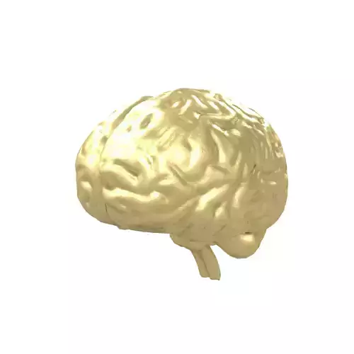Brain Icon v1 004