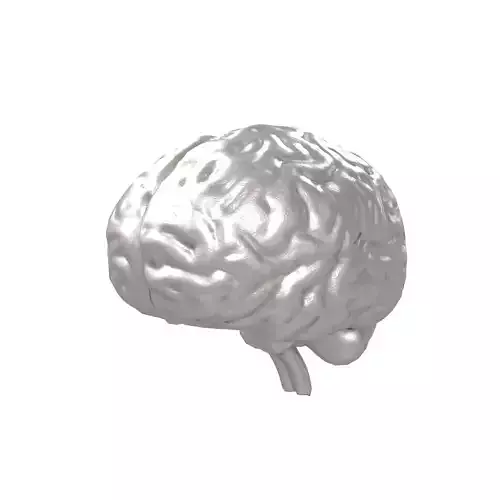 Brain Icon v1 005