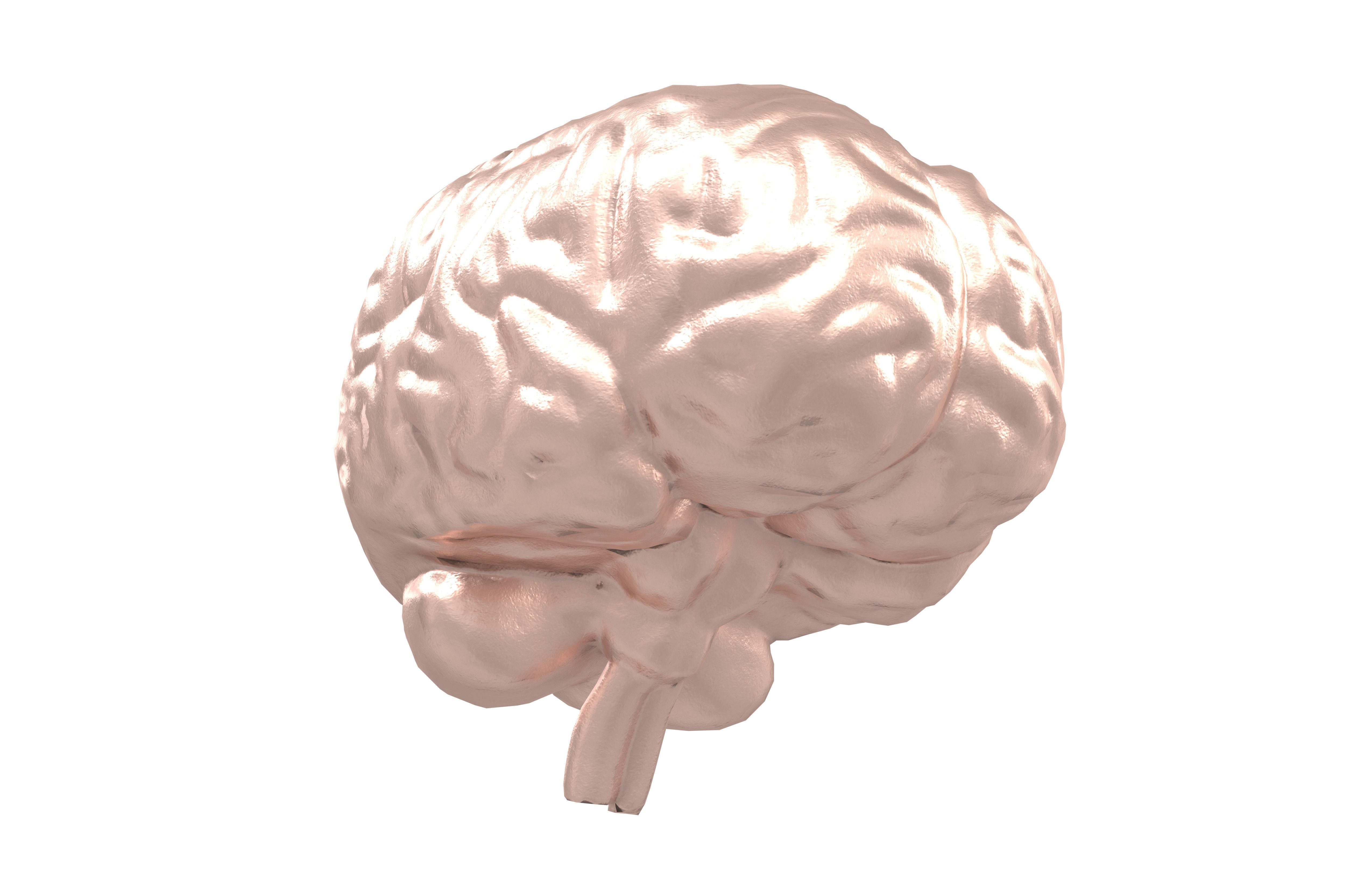 Brain Icon v1 006 Low-poly 3D model_3