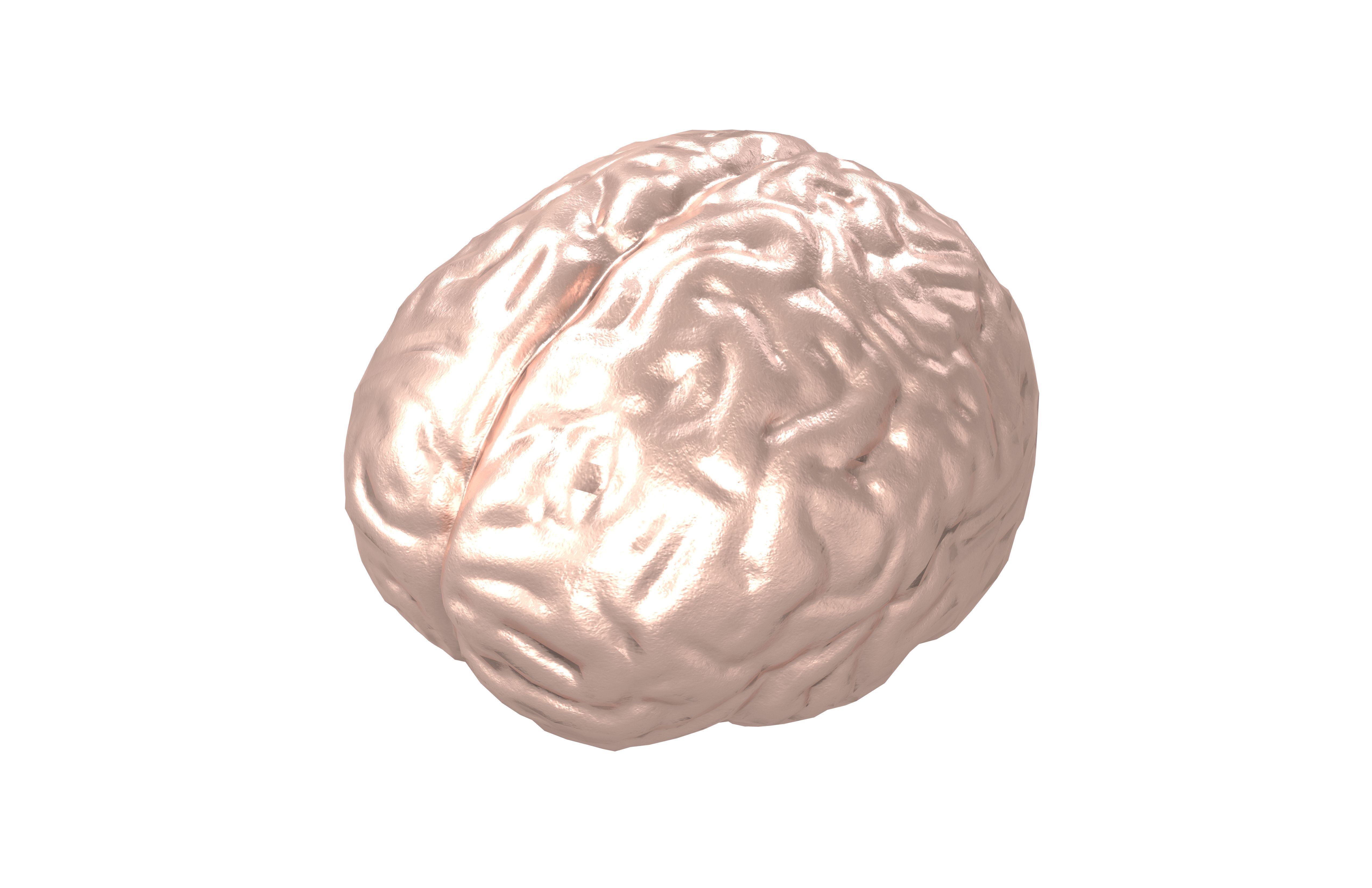 Brain Icon v1 006 Low-poly 3D model_2