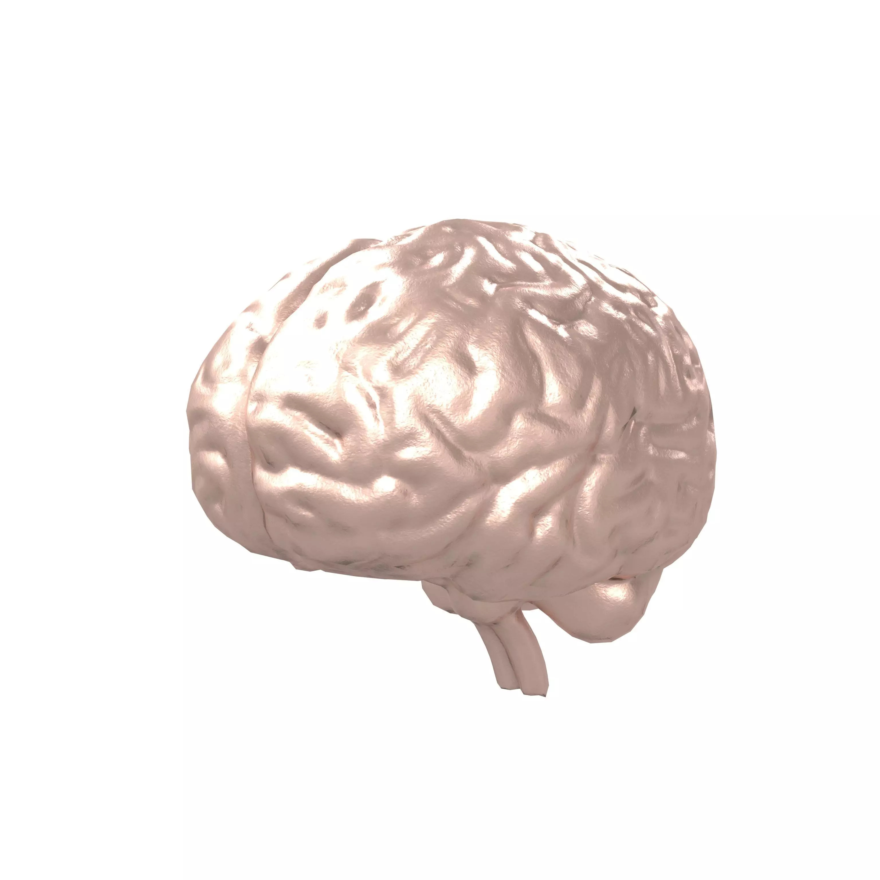 Brain Icon v1 006 Low-poly 3D model_0