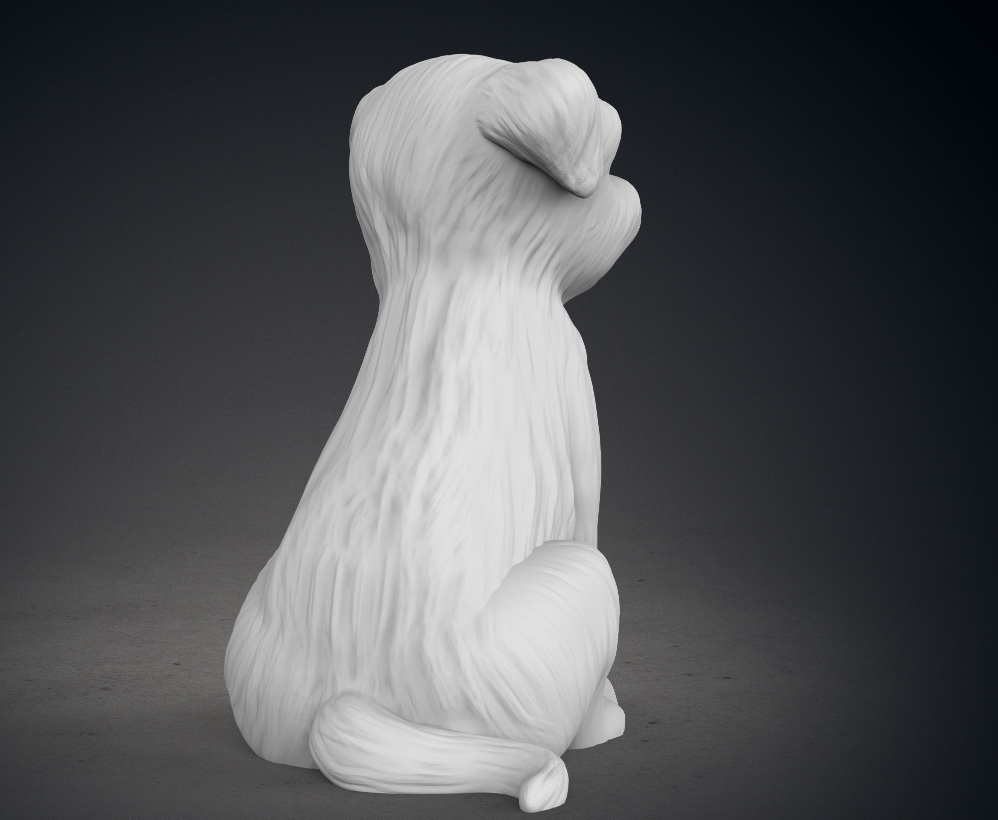 Cute Border Terrier Puppy 3D print model_6