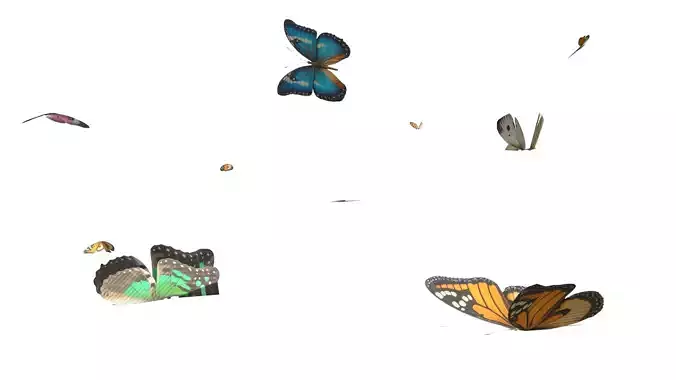 Butterflies looping animation Low-poly 3D model