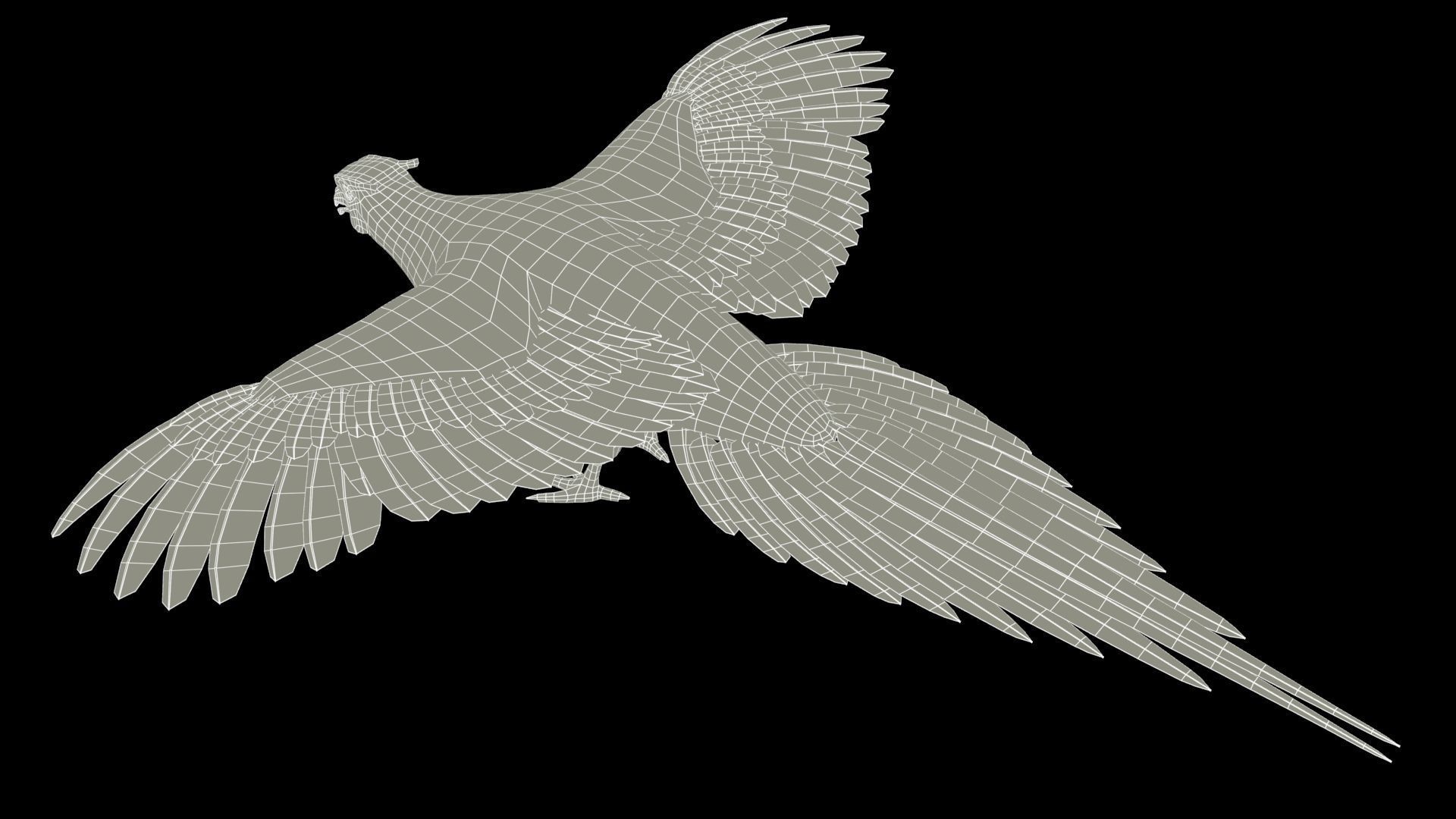 Pheasant Low-poly 3D model_16