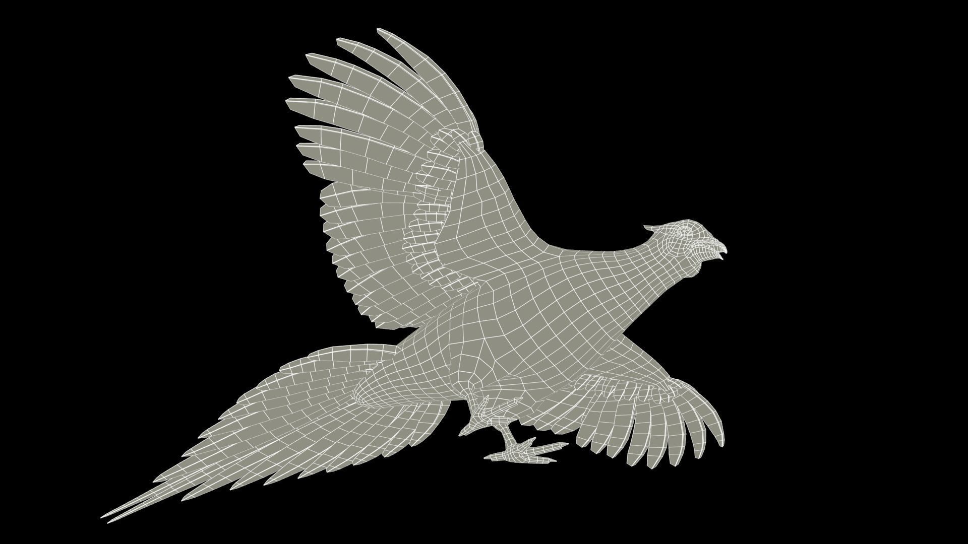 Pheasant Low-poly 3D model_17