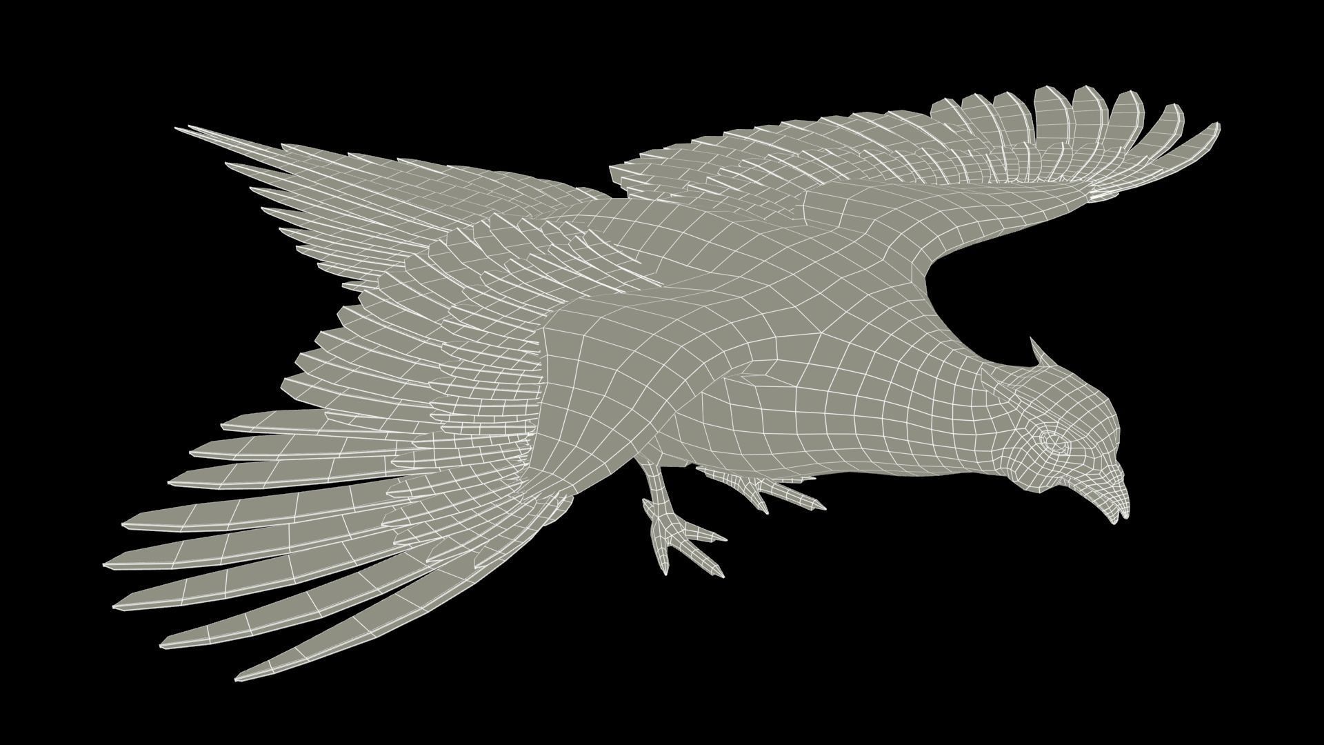 Pheasant Low-poly 3D model_15