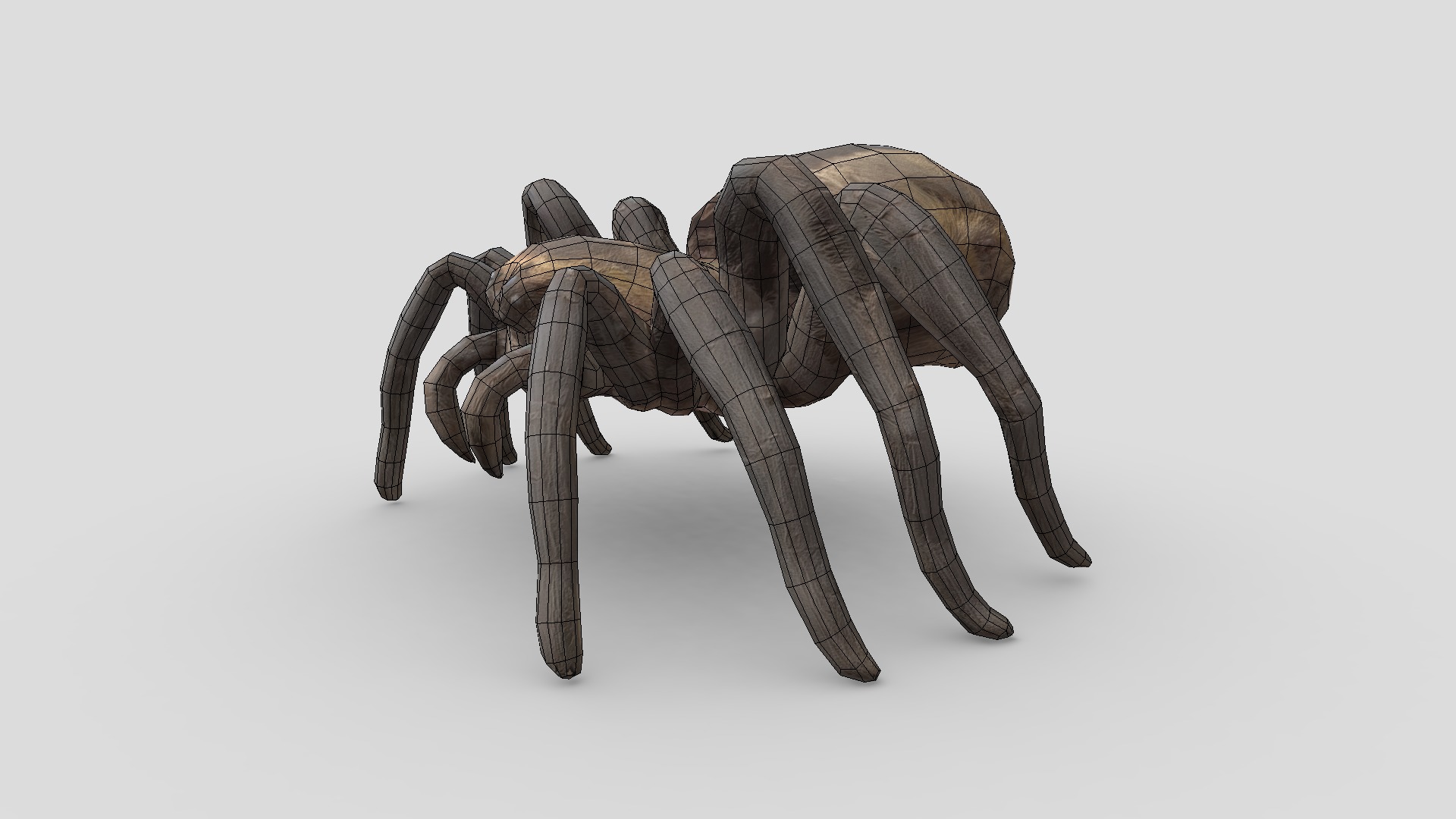 Tarantula Low-poly 3D model_6