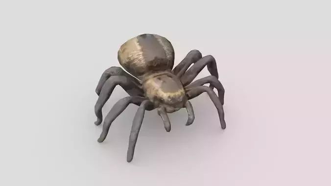 Tarantula Low-poly 3D model
