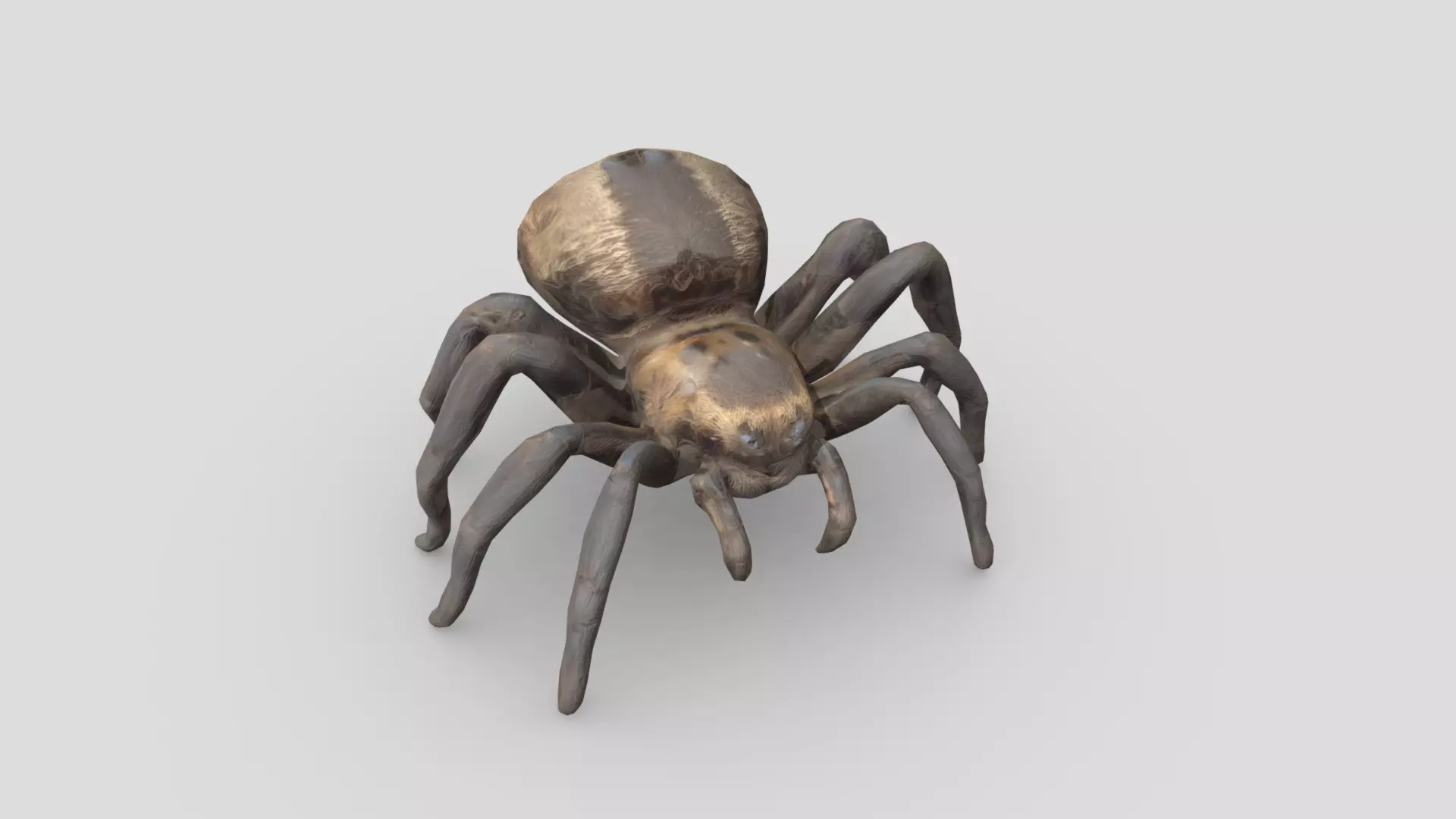 Tarantula Low-poly 3D model_0