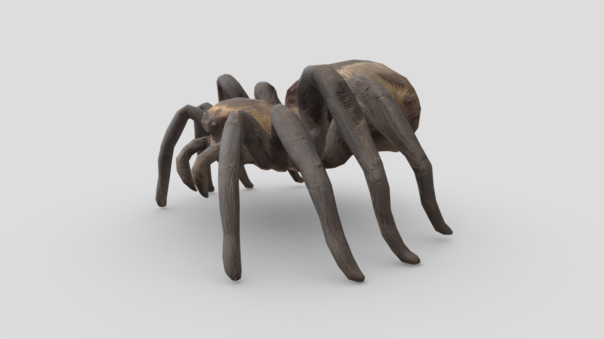 Tarantula Low-poly 3D model_5