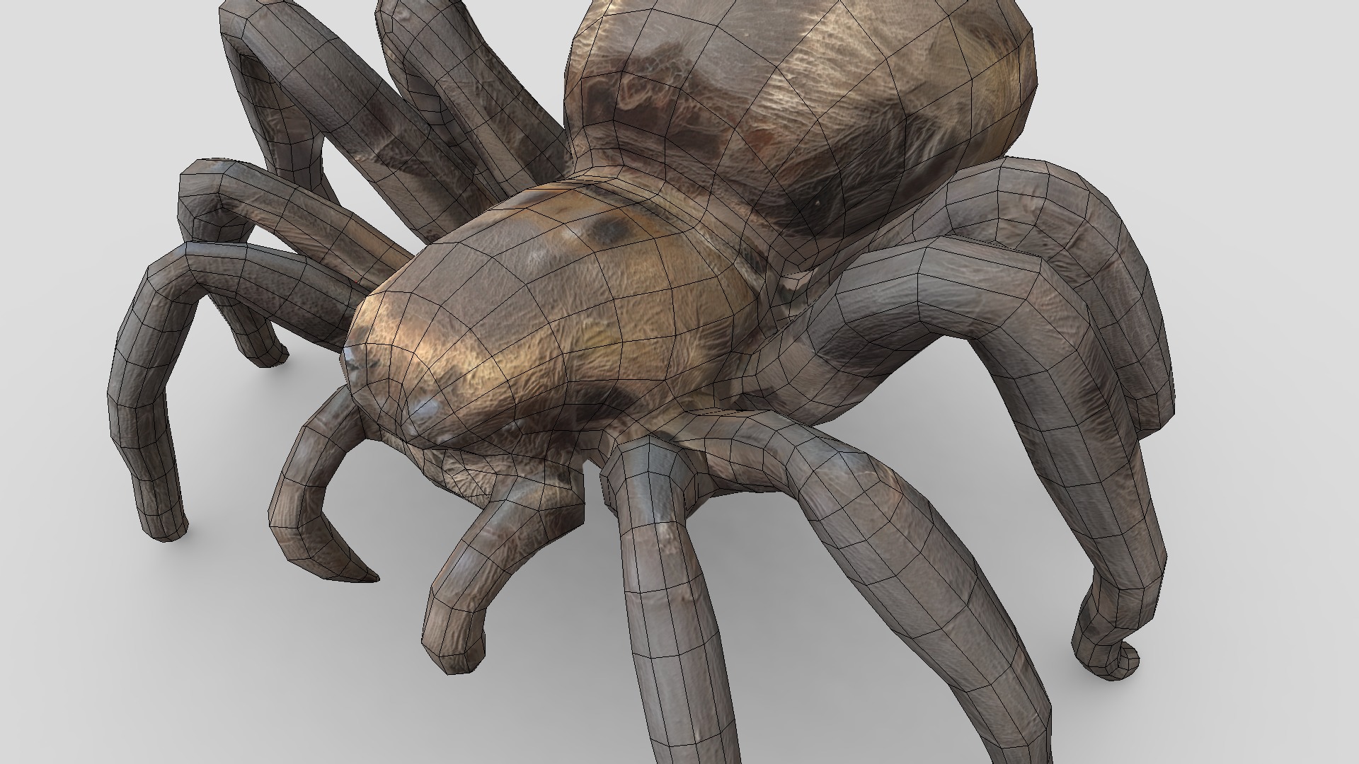 Tarantula Low-poly 3D model_10