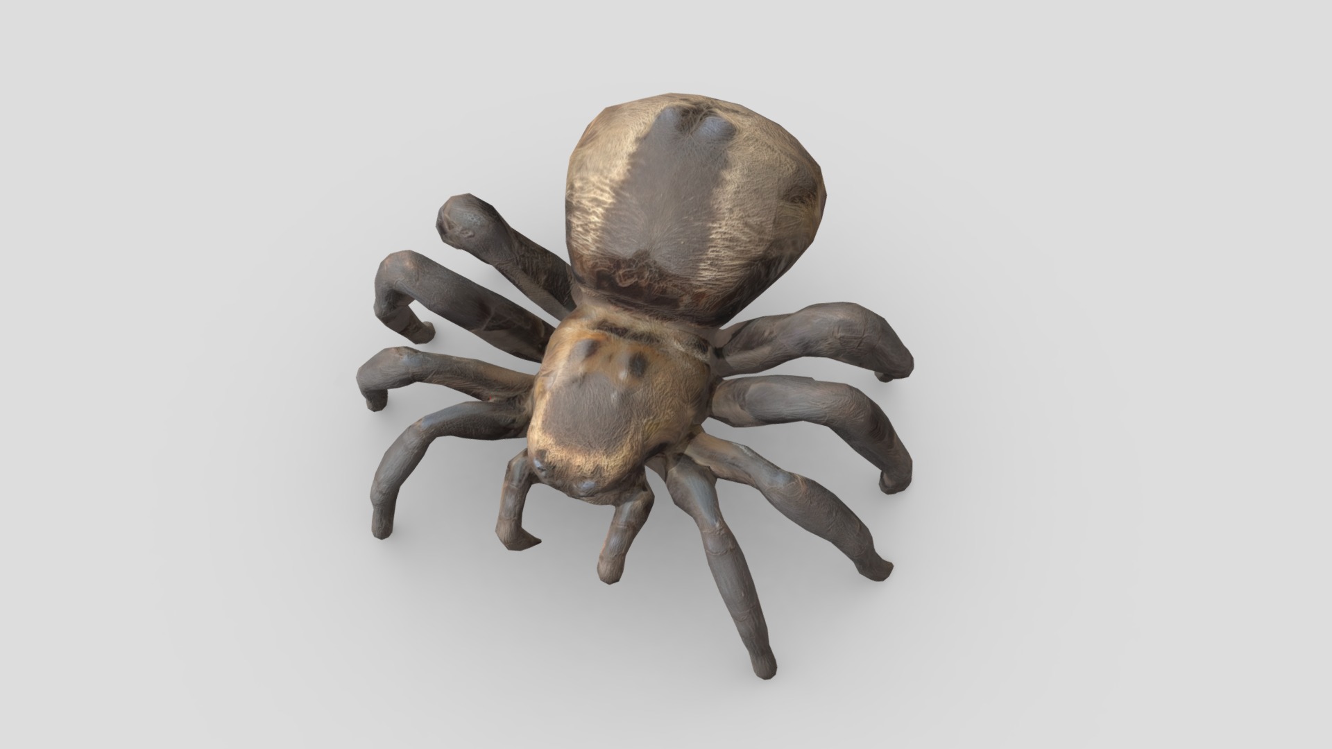 Tarantula Low-poly 3D model_3