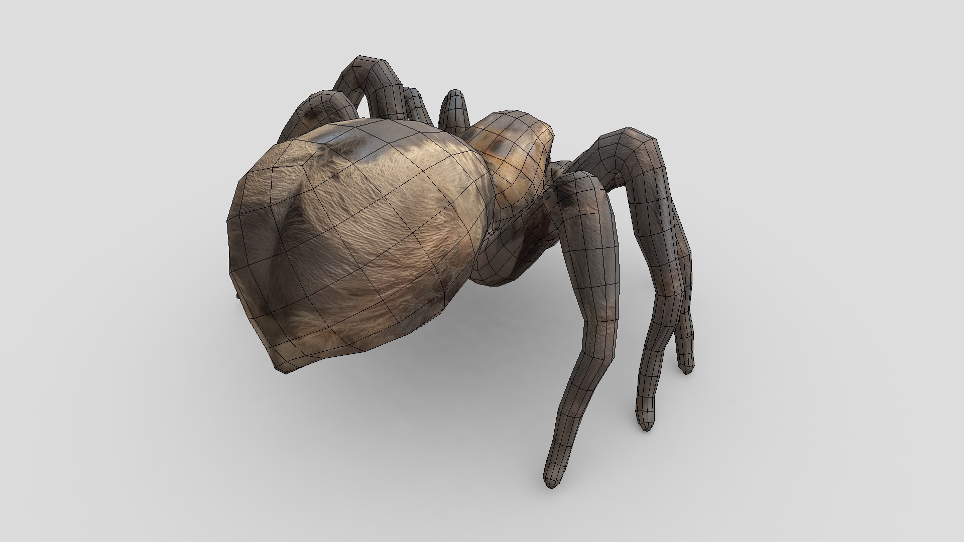 Tarantula Low-poly 3D model_8
